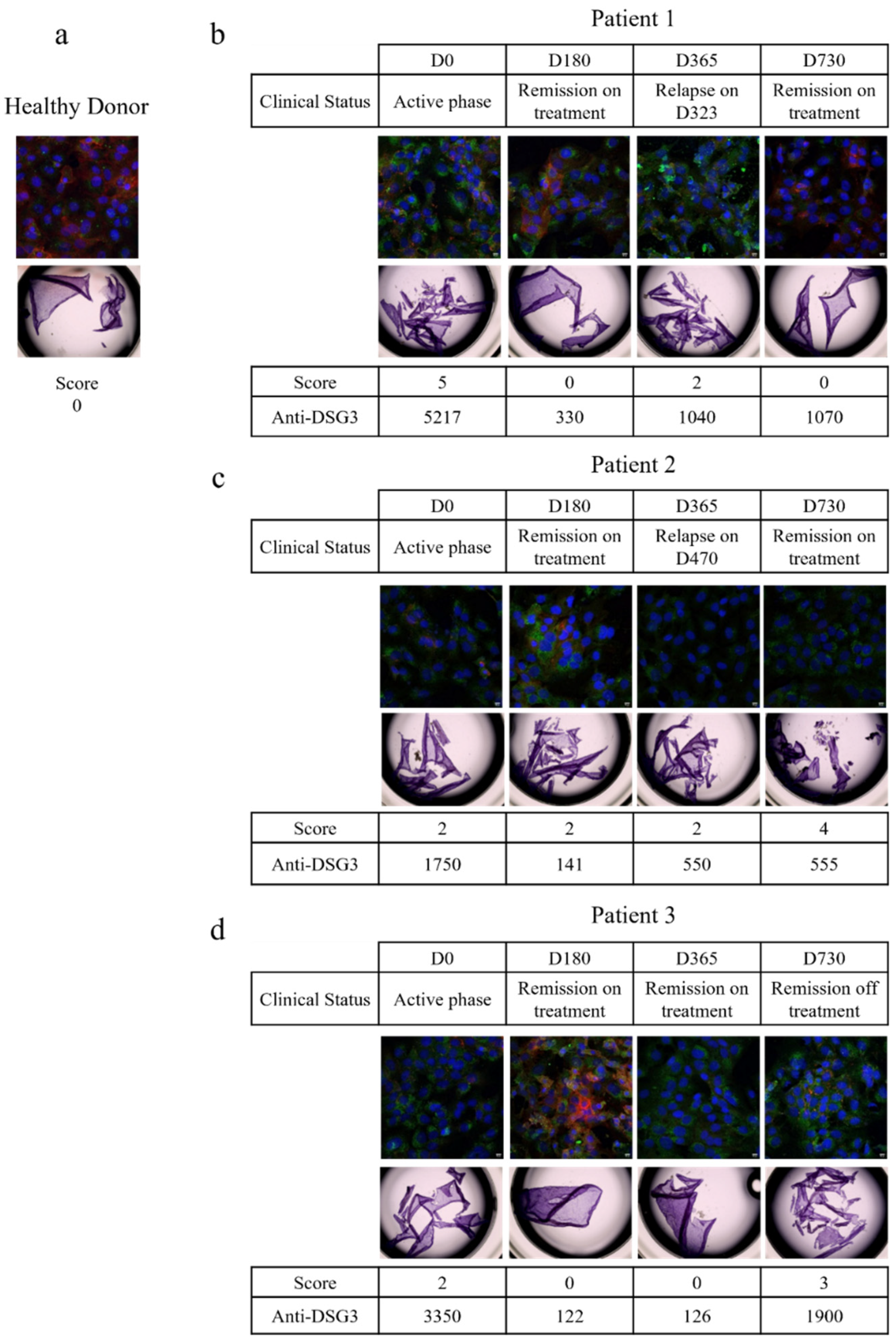 Biomedicines 09 01411 g003