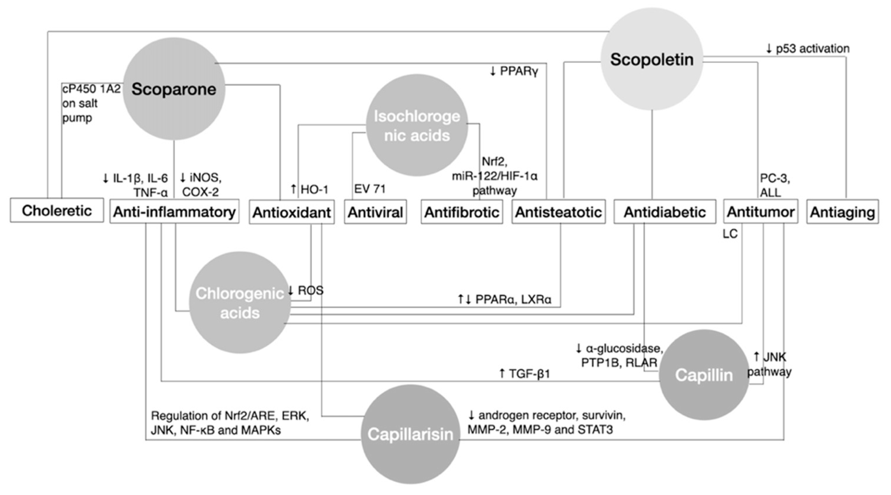 Biomedicines 09 01412 g002