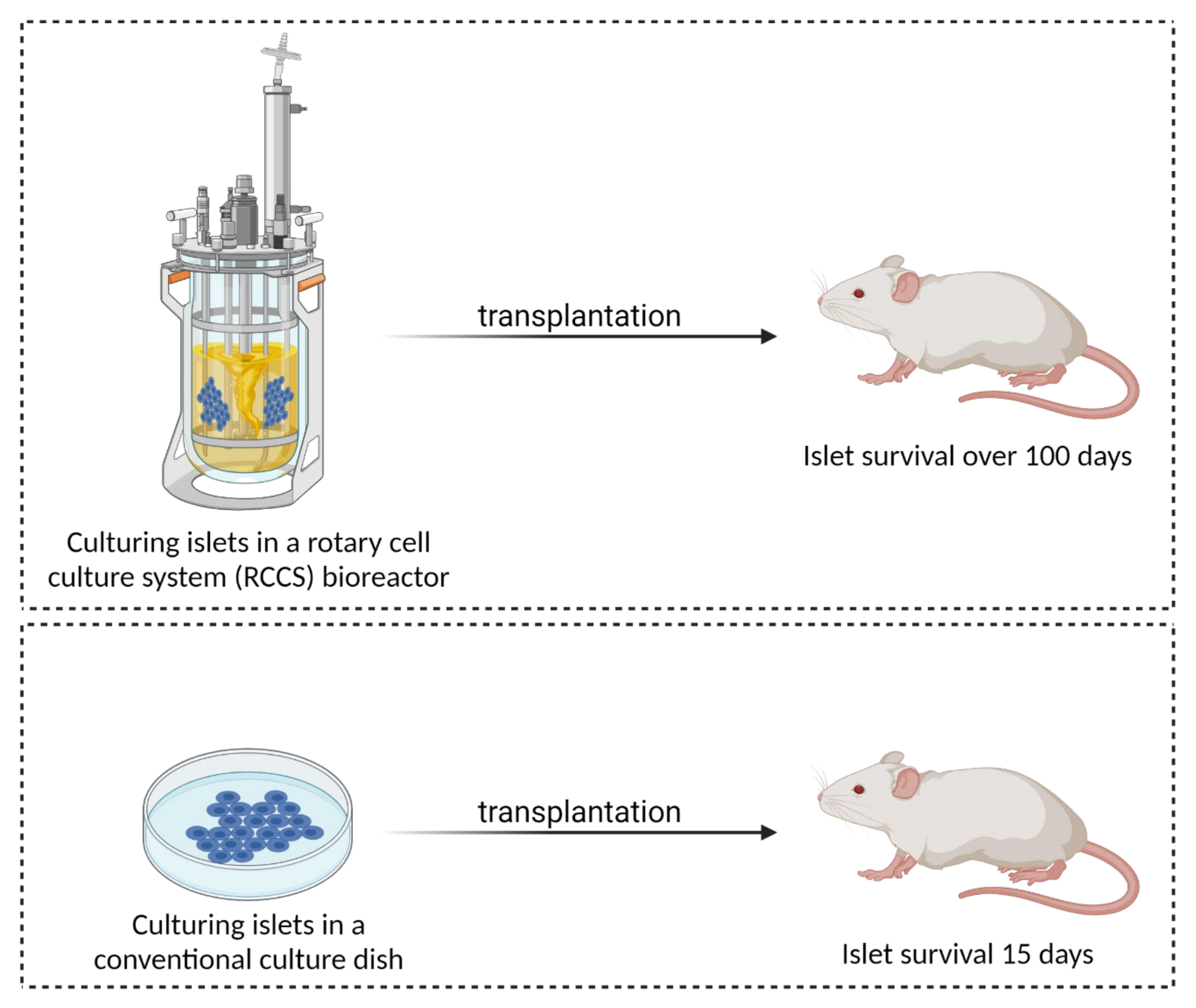 Biomedicines 09 01415 g006 Biomedicines 09 01415 g006