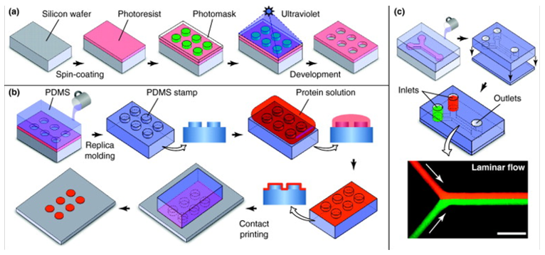 Biomedicines 09 01415 g007 Biomedicines 09 01415 g007