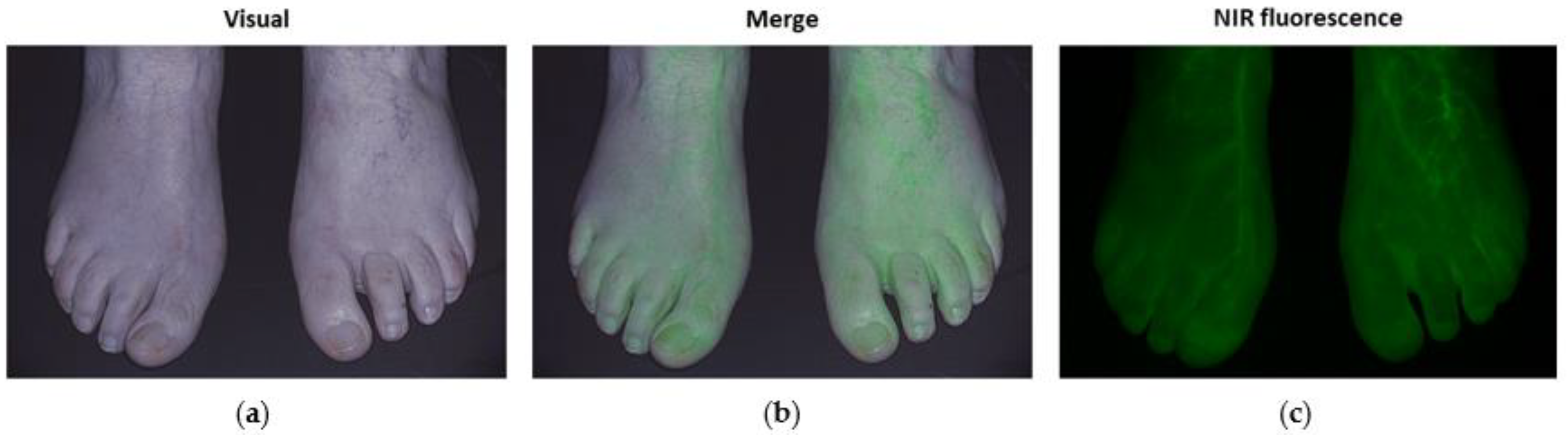 Biomedicines 09 01417 g002 550