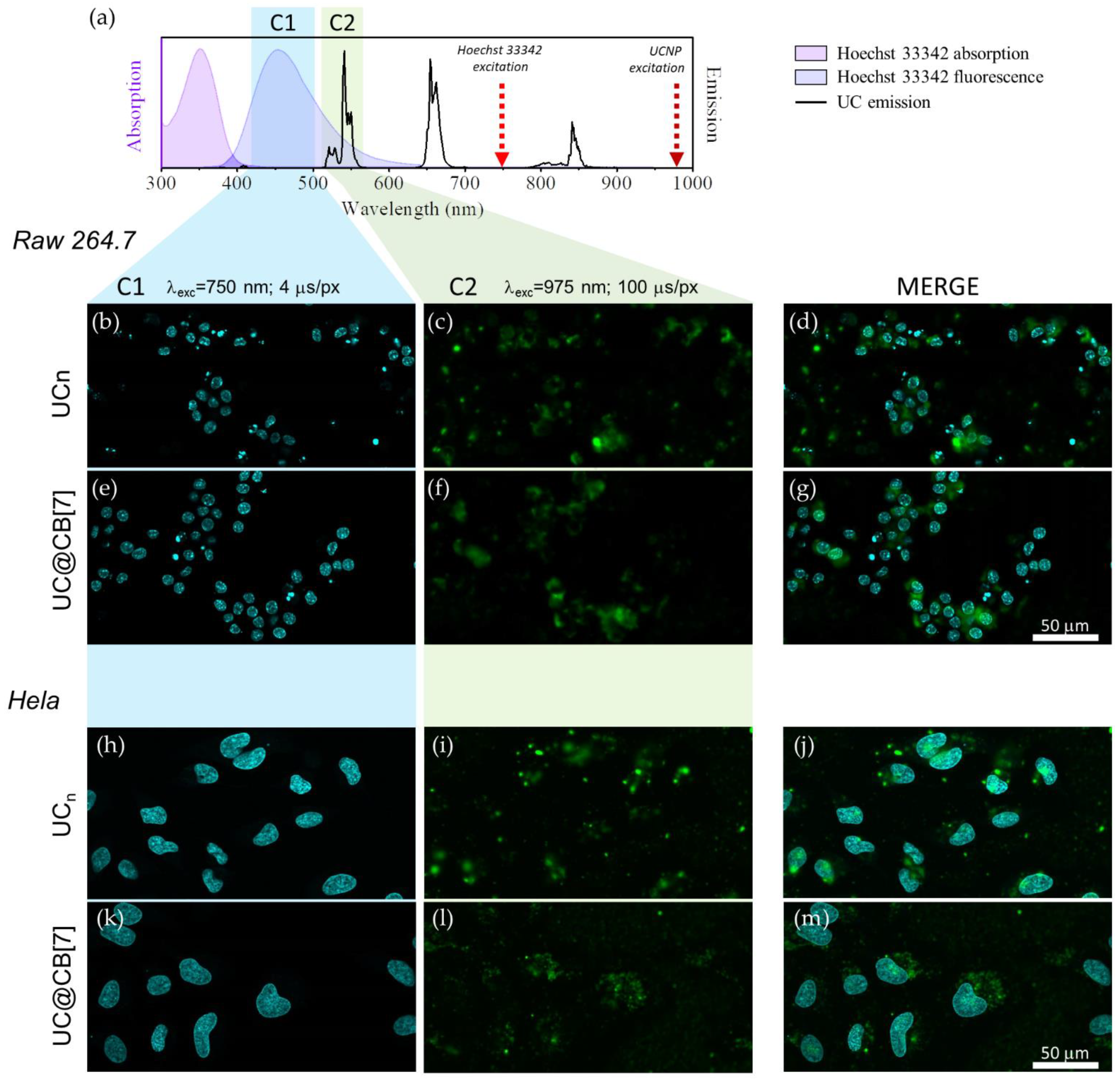 Biomedicines 09 01419 g006 Biomedicines 09 01419 g006