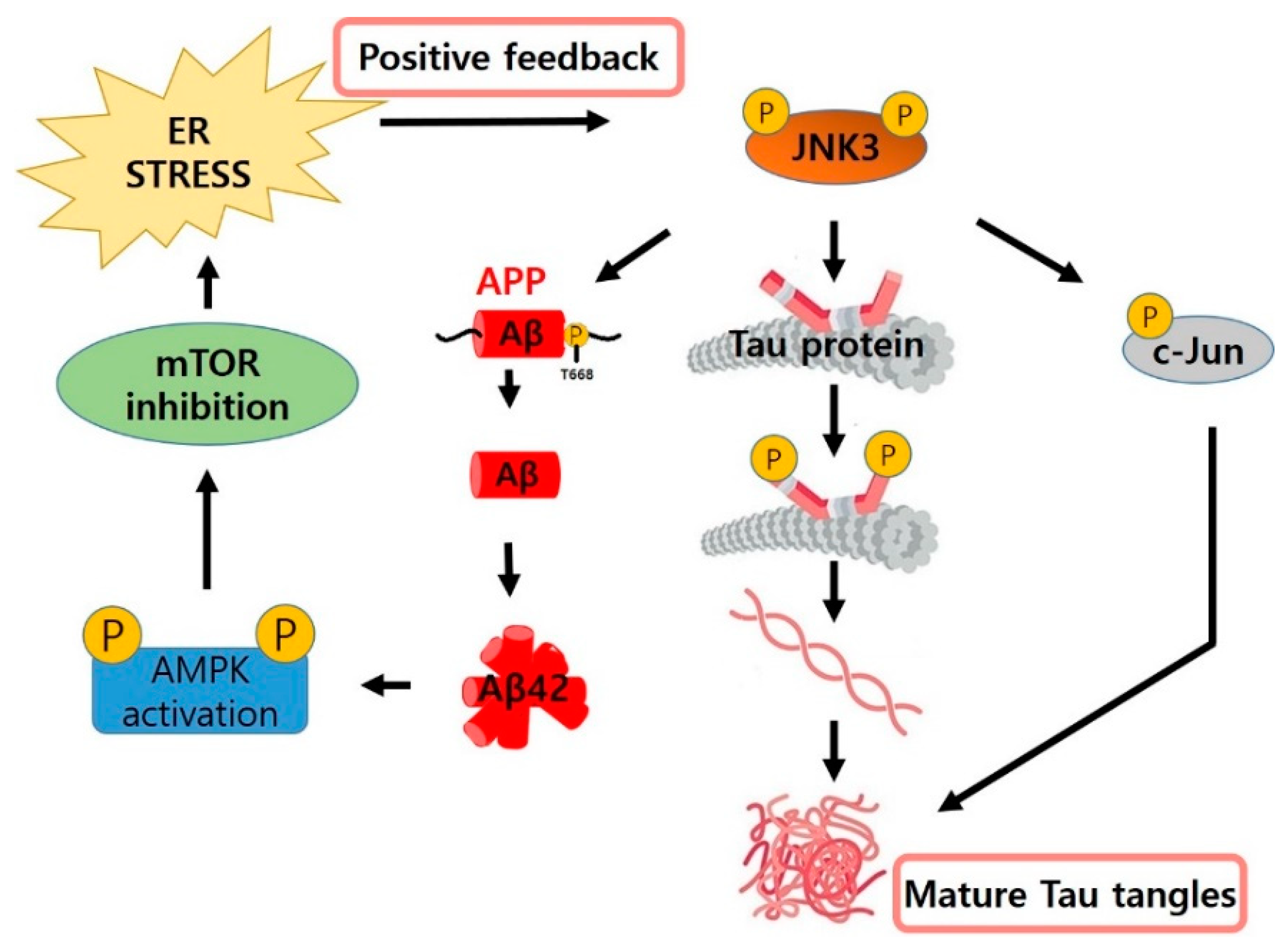 Biomedicines 09 01431 g002 550