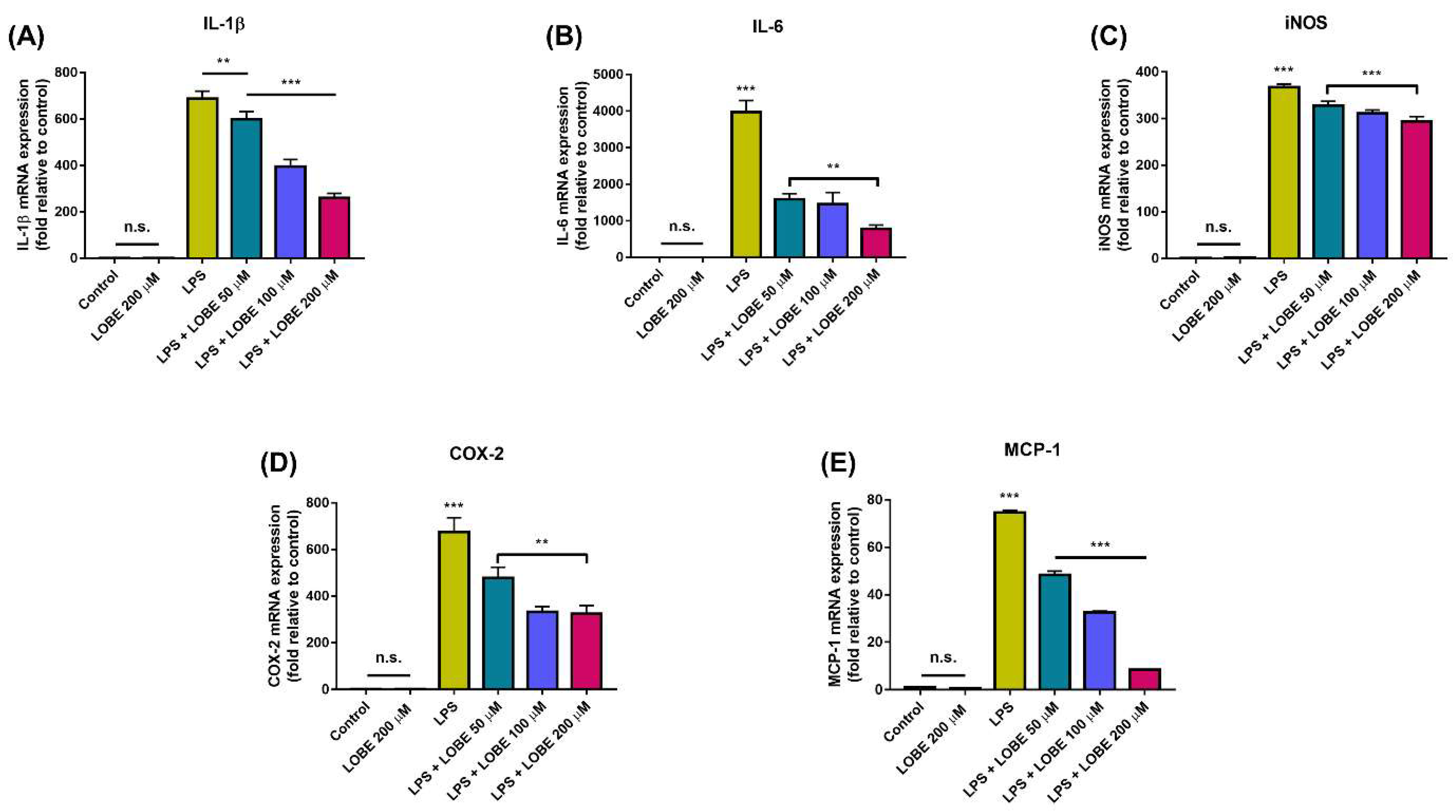 Biomedicines 09 01432 g004 550