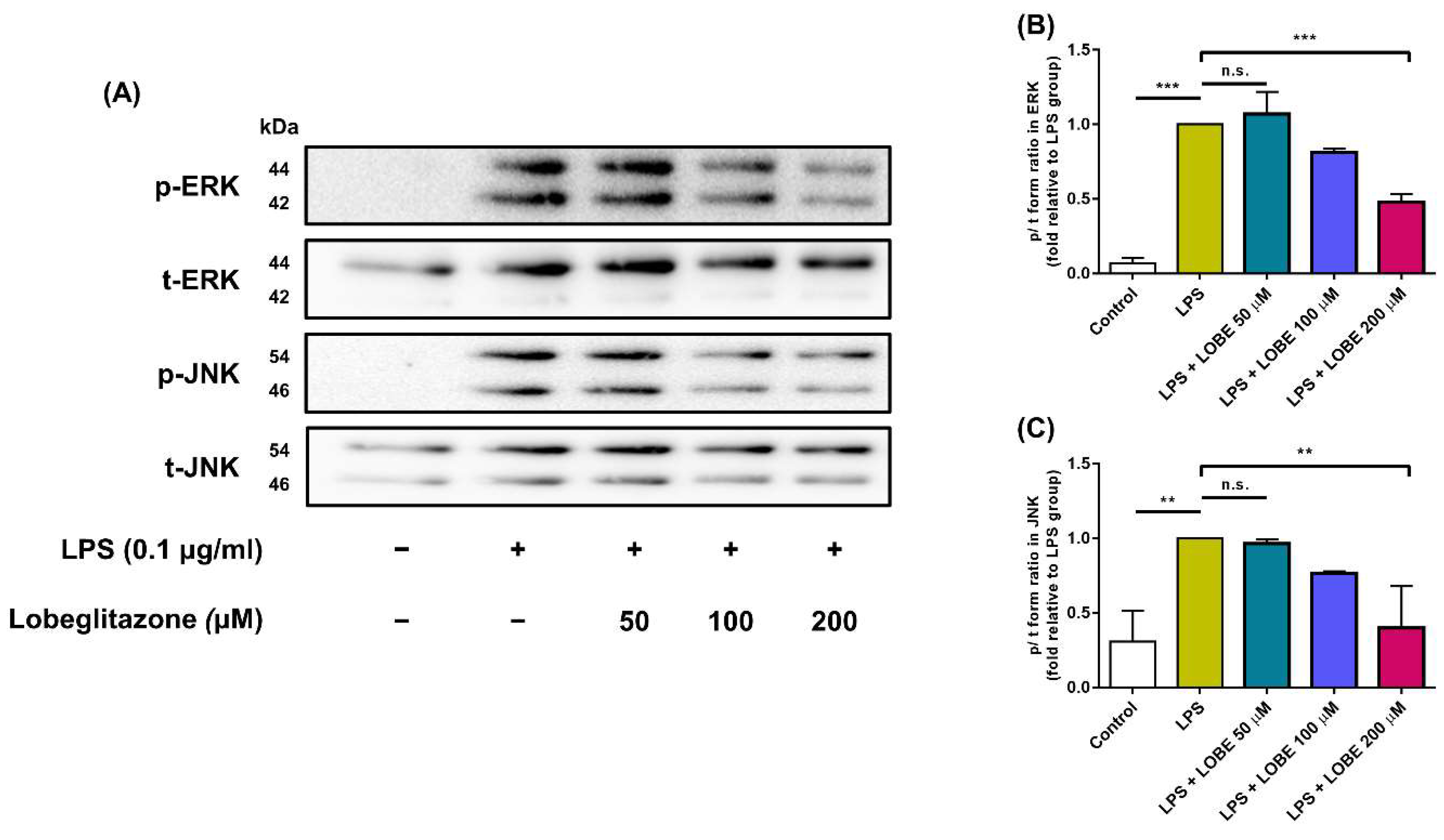 Biomedicines 09 01432 g005 550
