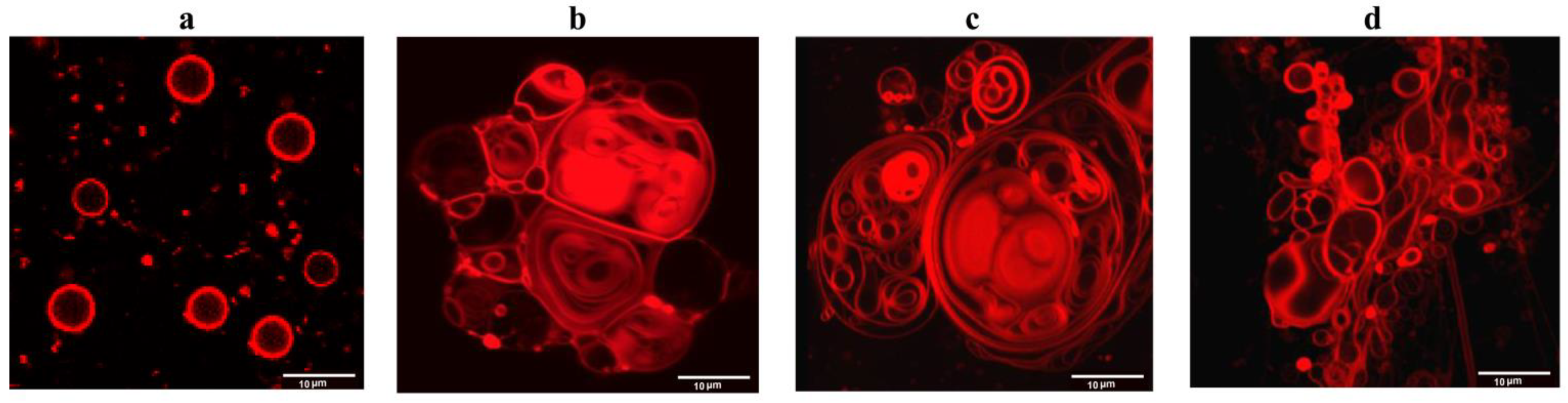 Biomedicines 09 01434 g004 Biomedicines 09 01434 g004