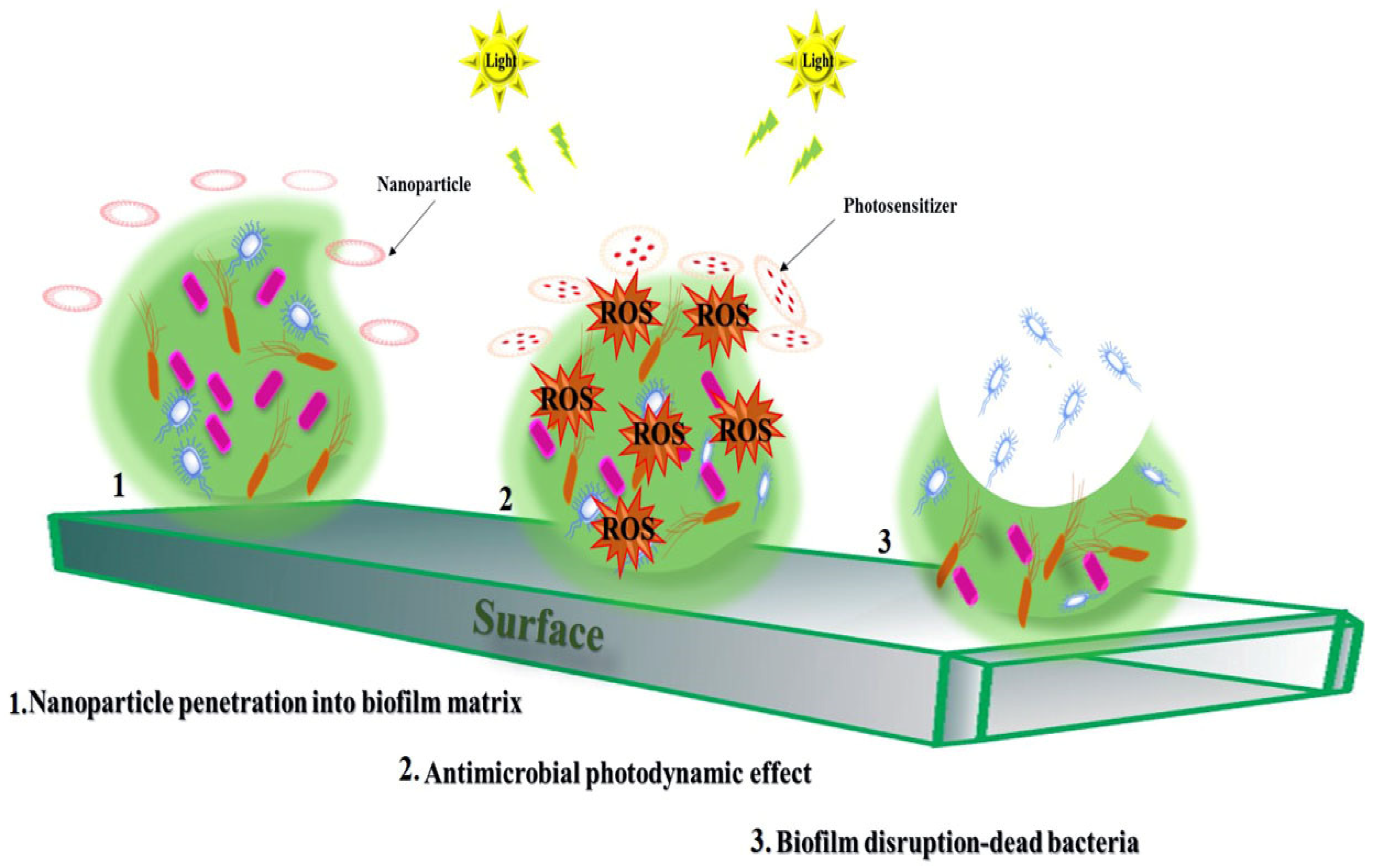 Nanoparticles for Oral Biofilm Treatments