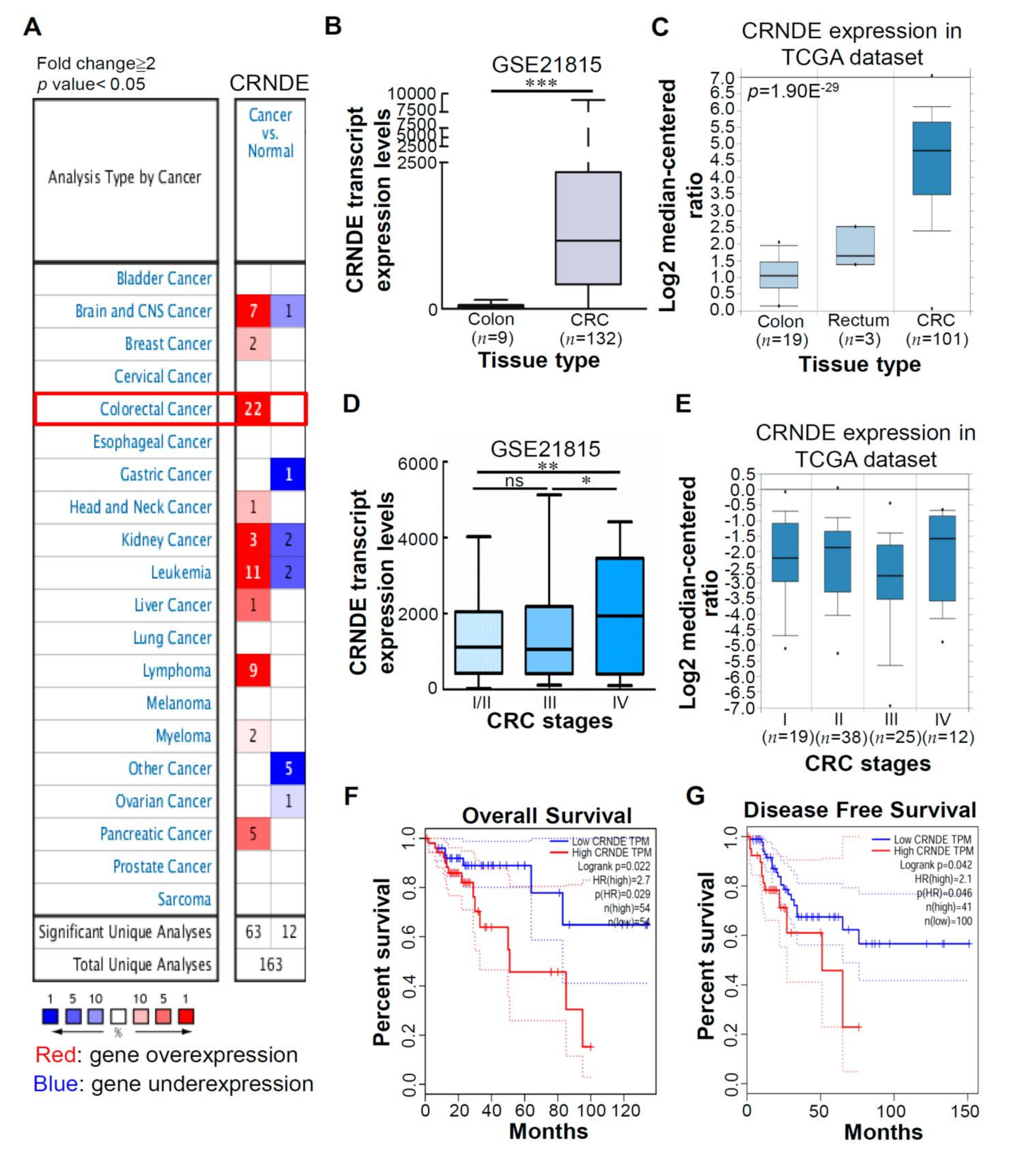 Biomedicines 09 01438 g001