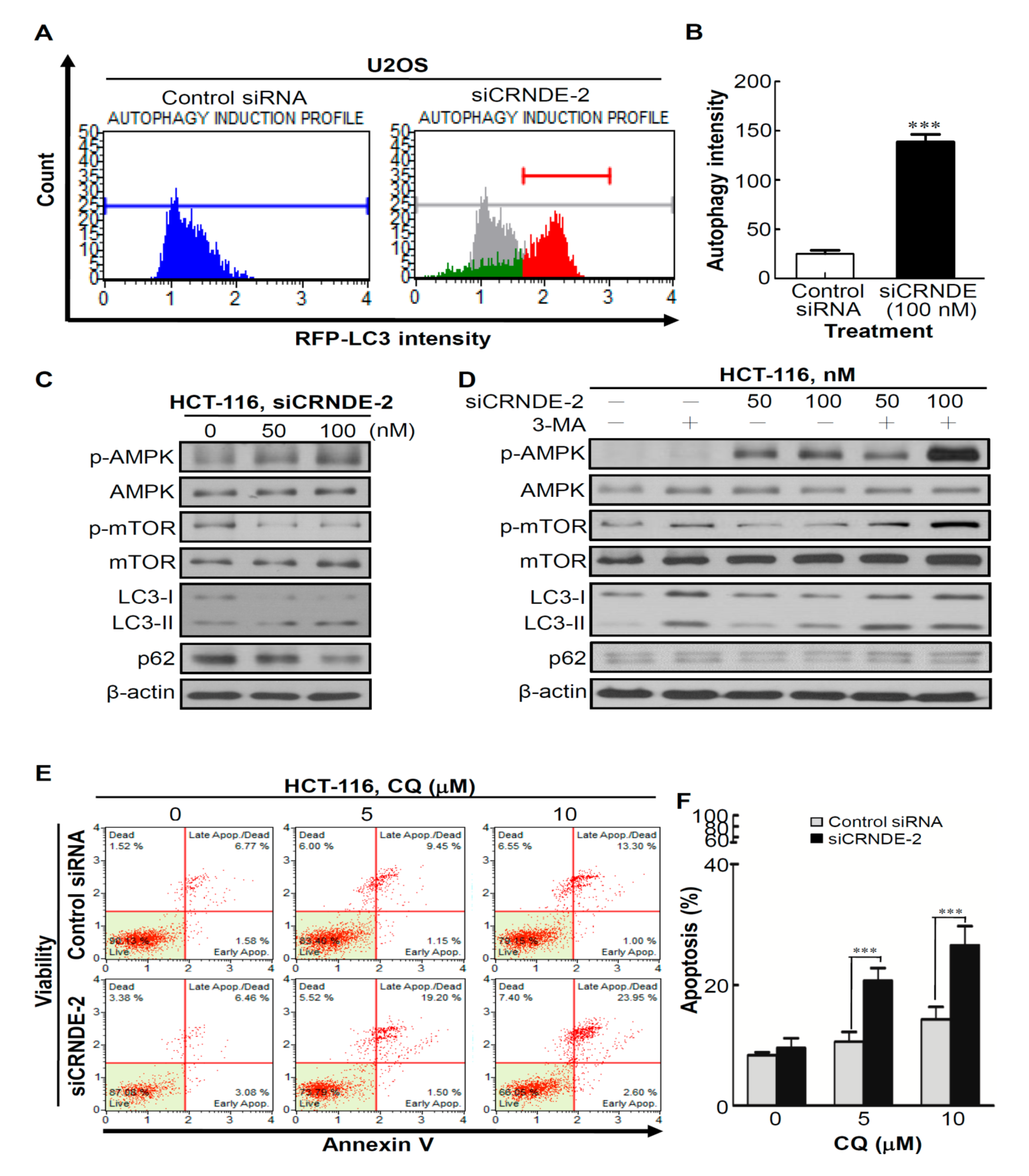 Biomedicines 09 01438 g004