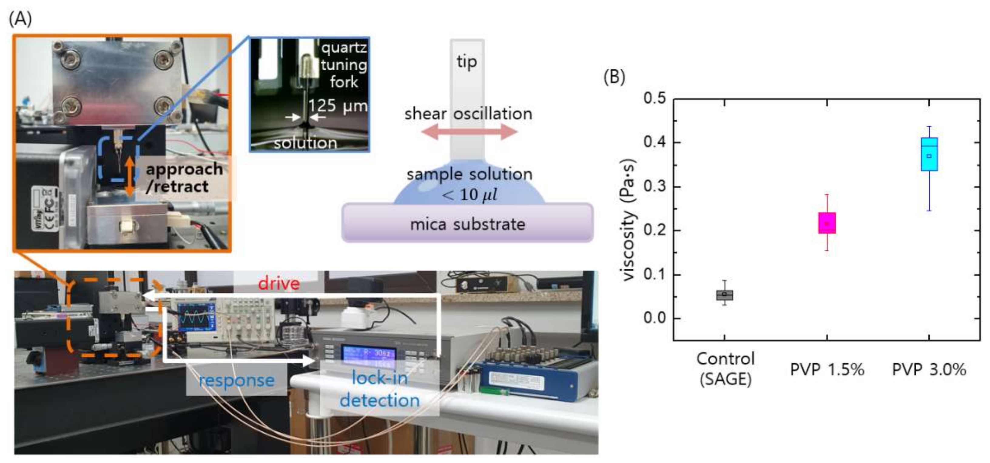 Biomedicines 09 01439 g002