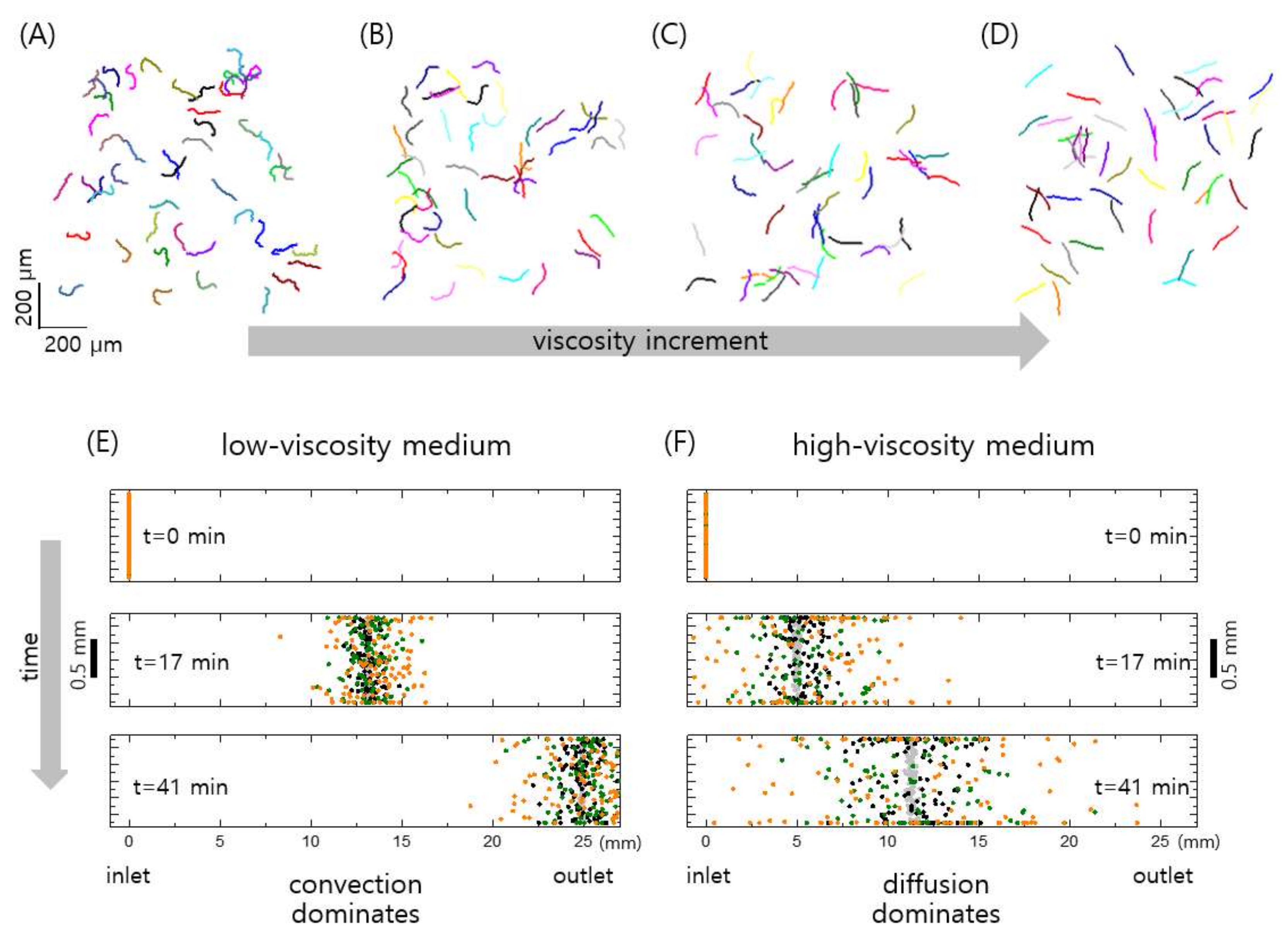 Biomedicines 09 01439 g006
