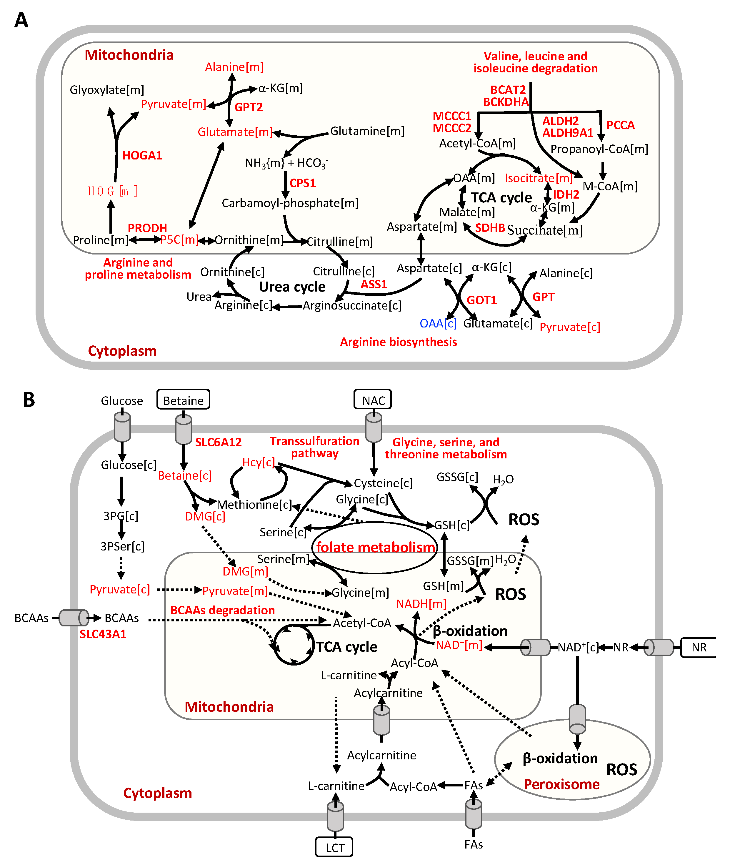 Biomedicines 09 01440 g006