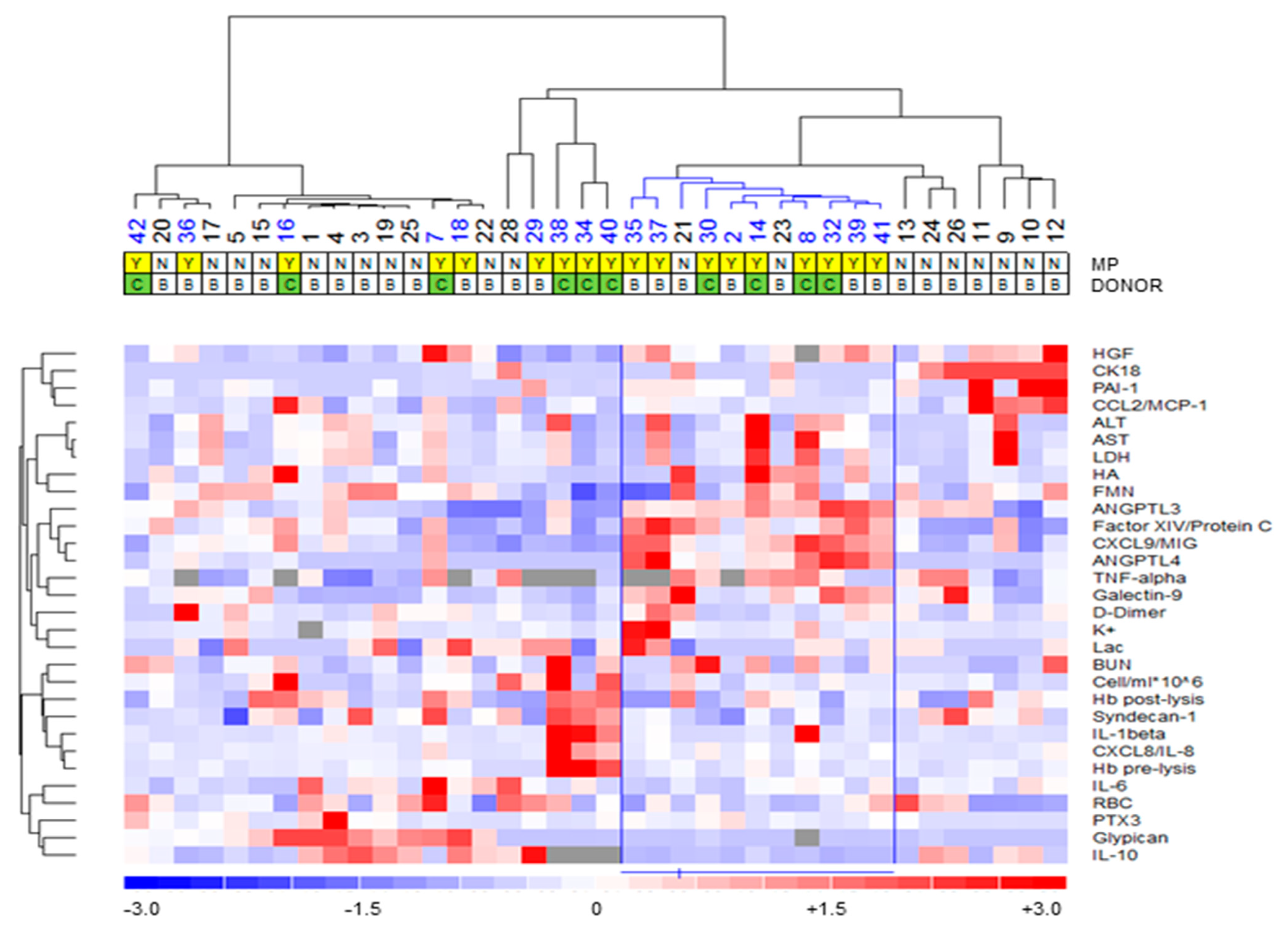 Biomedicines 09 01444 g001