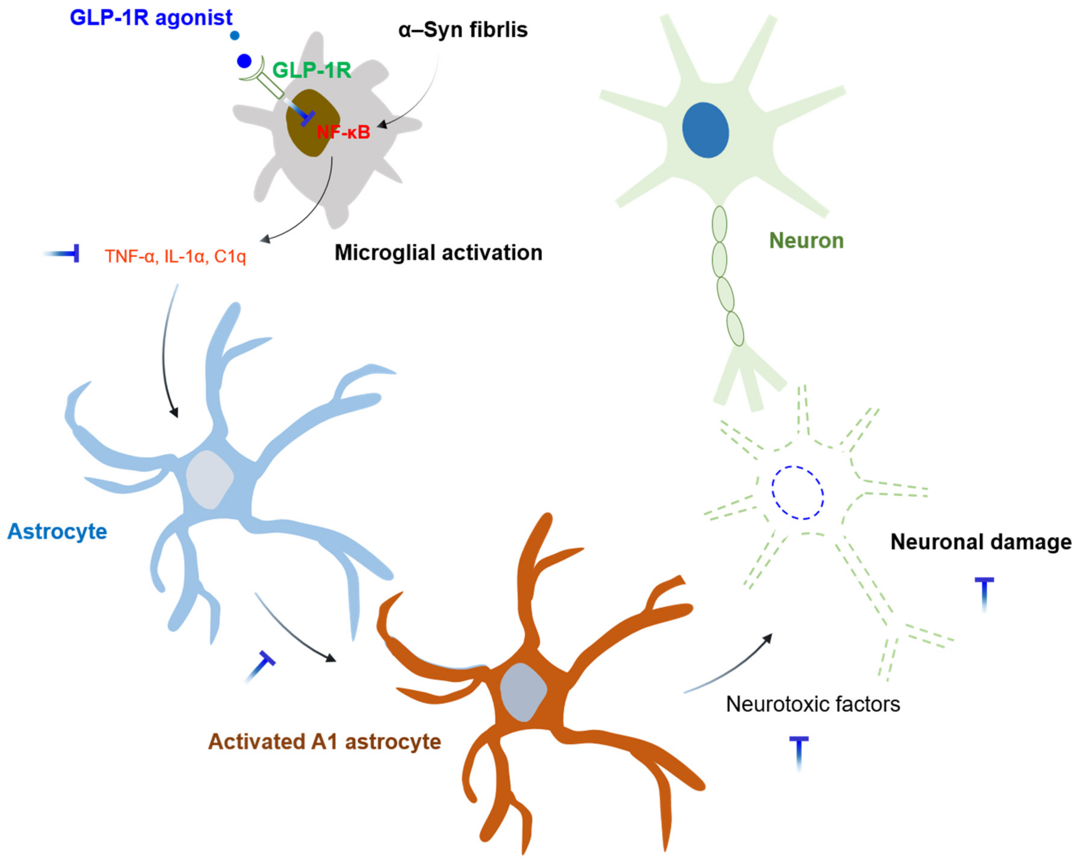Biomedicines 09 01449 g002 550