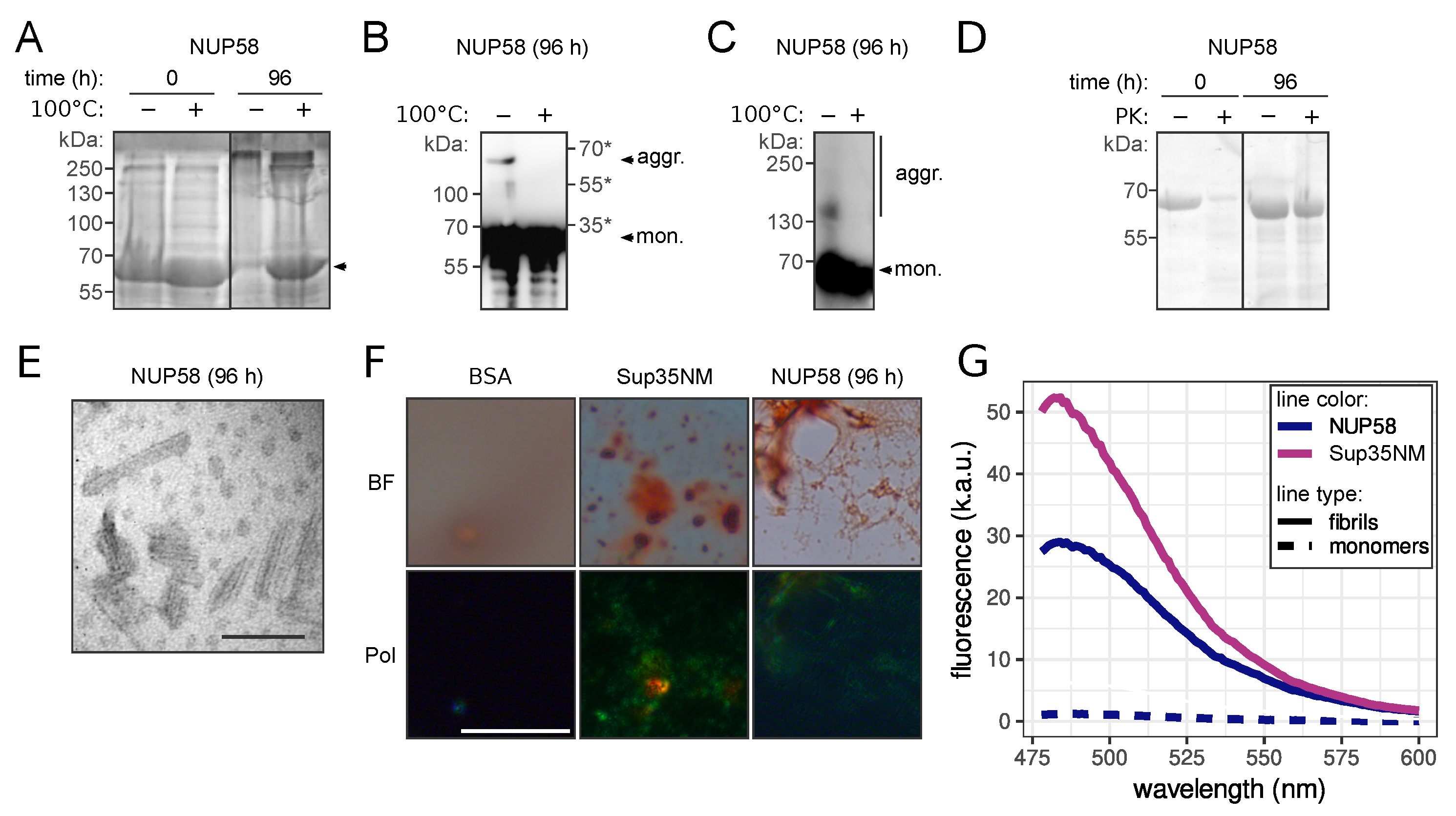 Biomedicines 09 01451 g002 Biomedicines 09 01451 g002