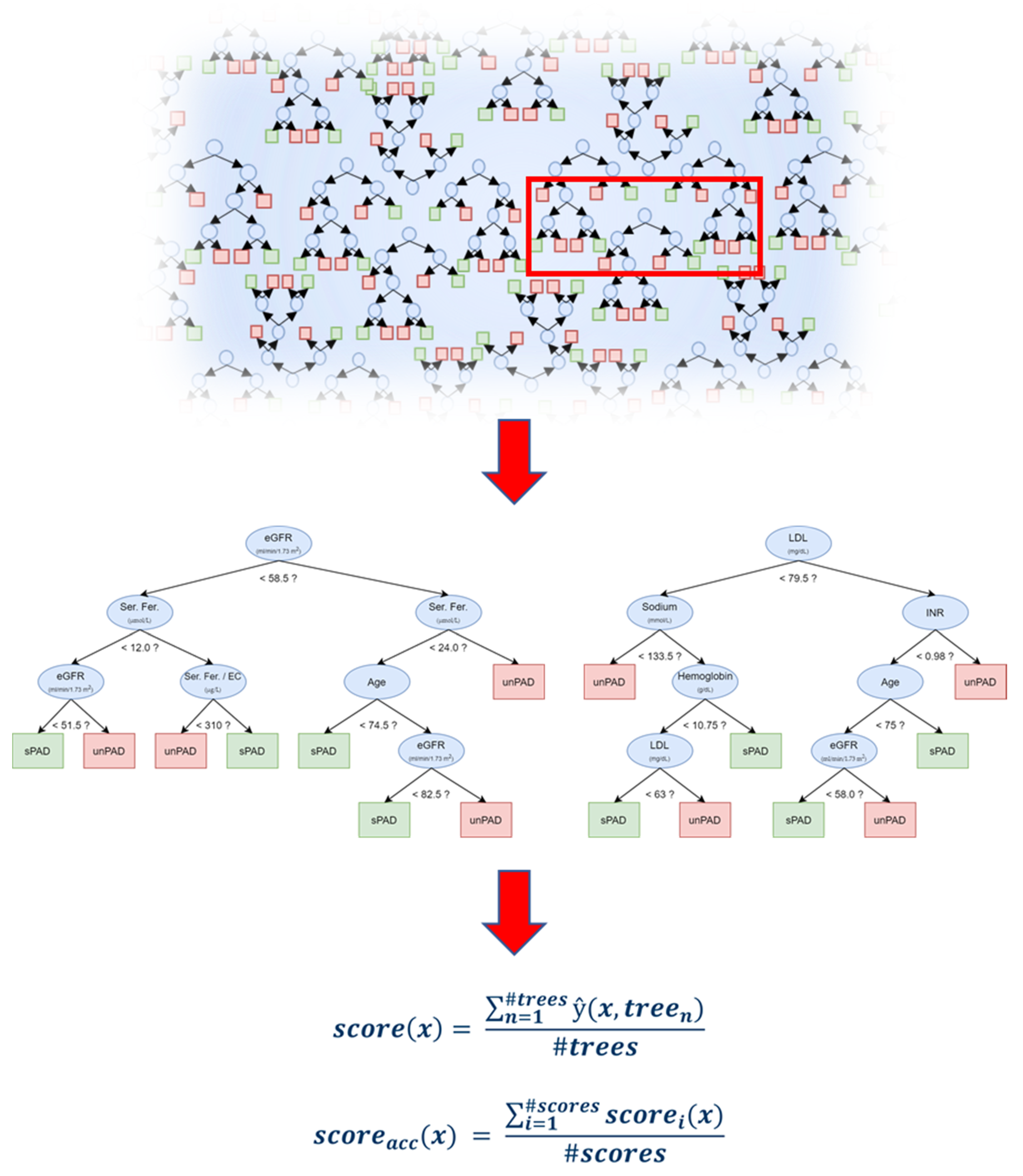 Biomedicines 09 01456 g002 550