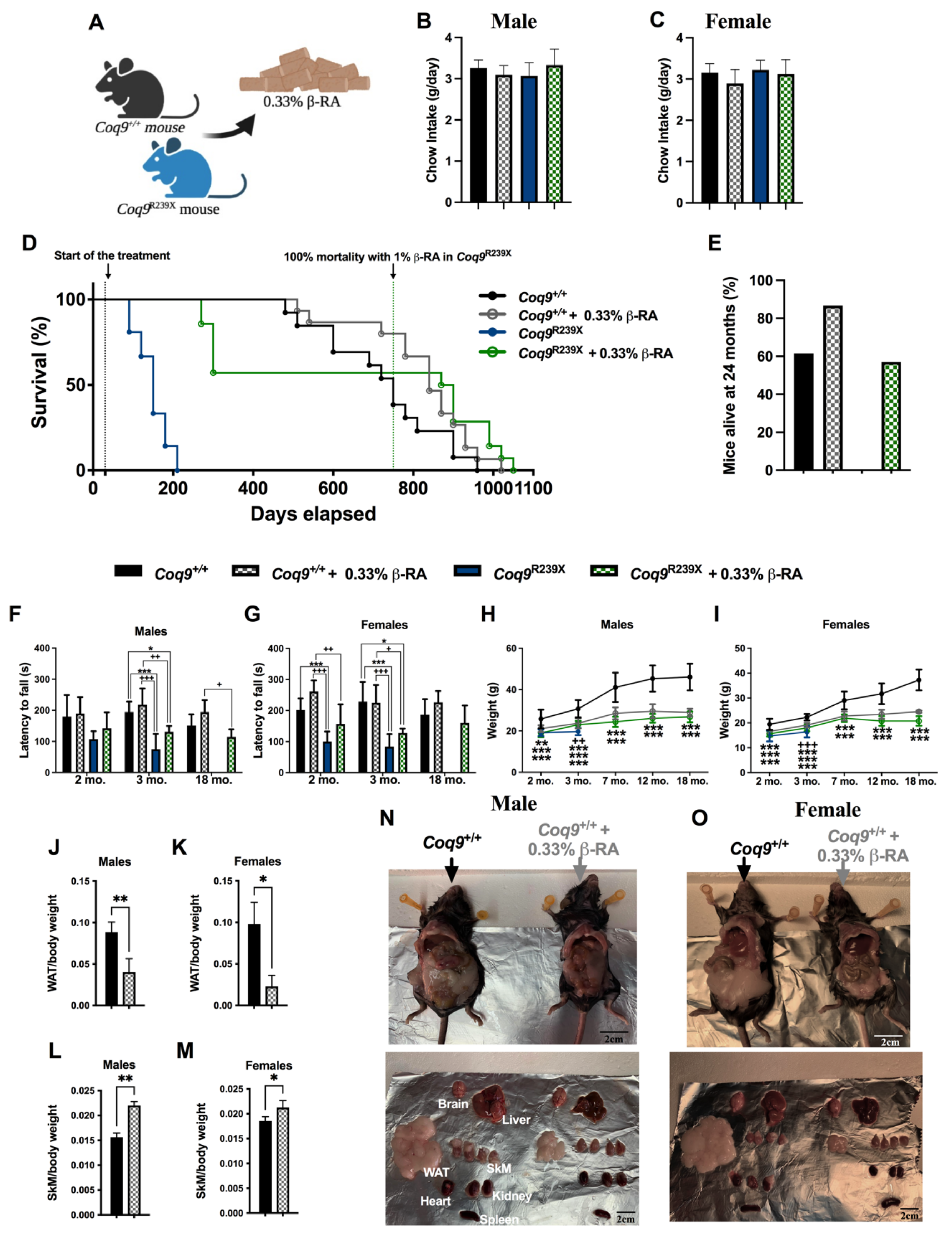 Biomedicines 09 01457 g001