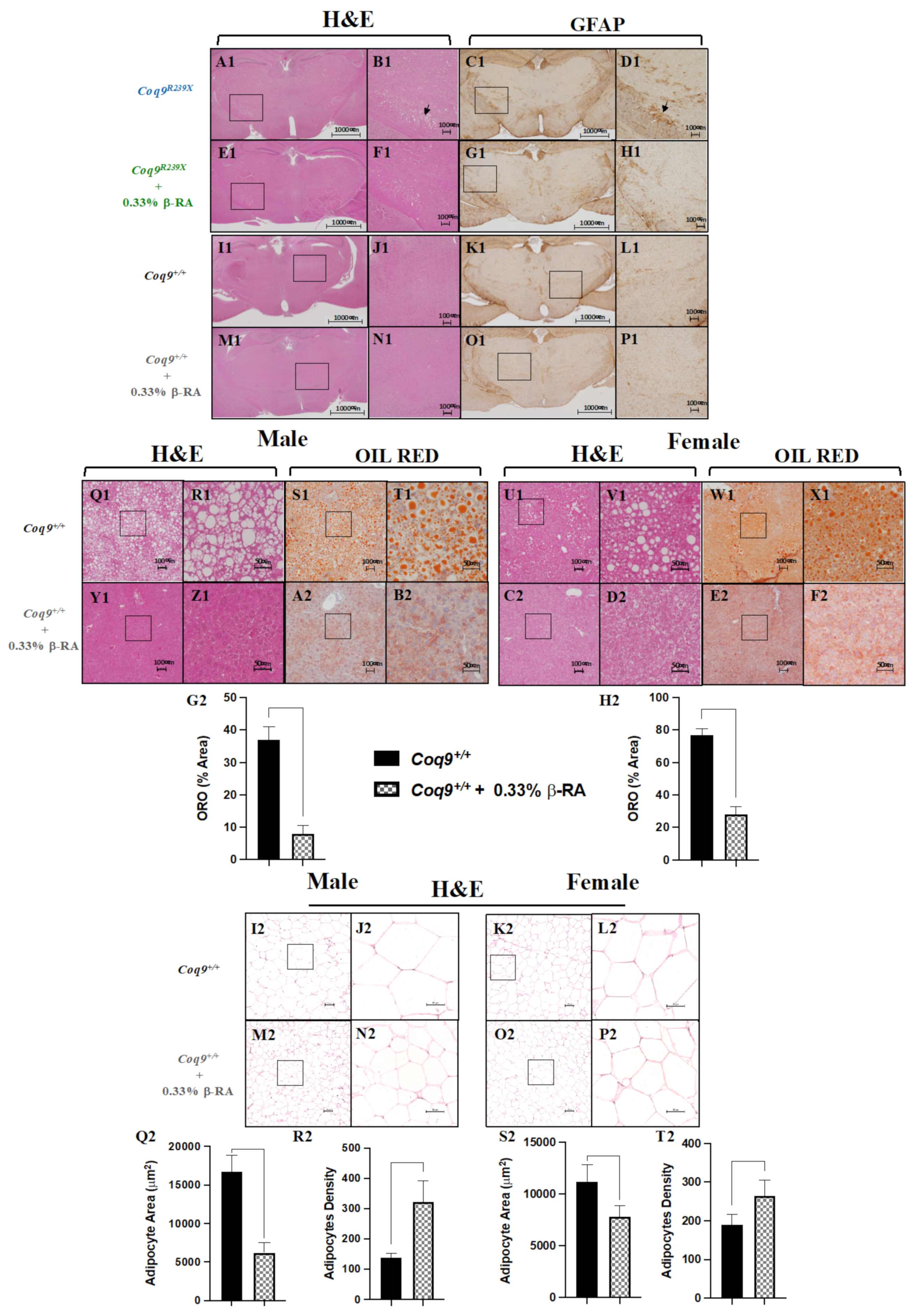 Biomedicines 09 01457 g002