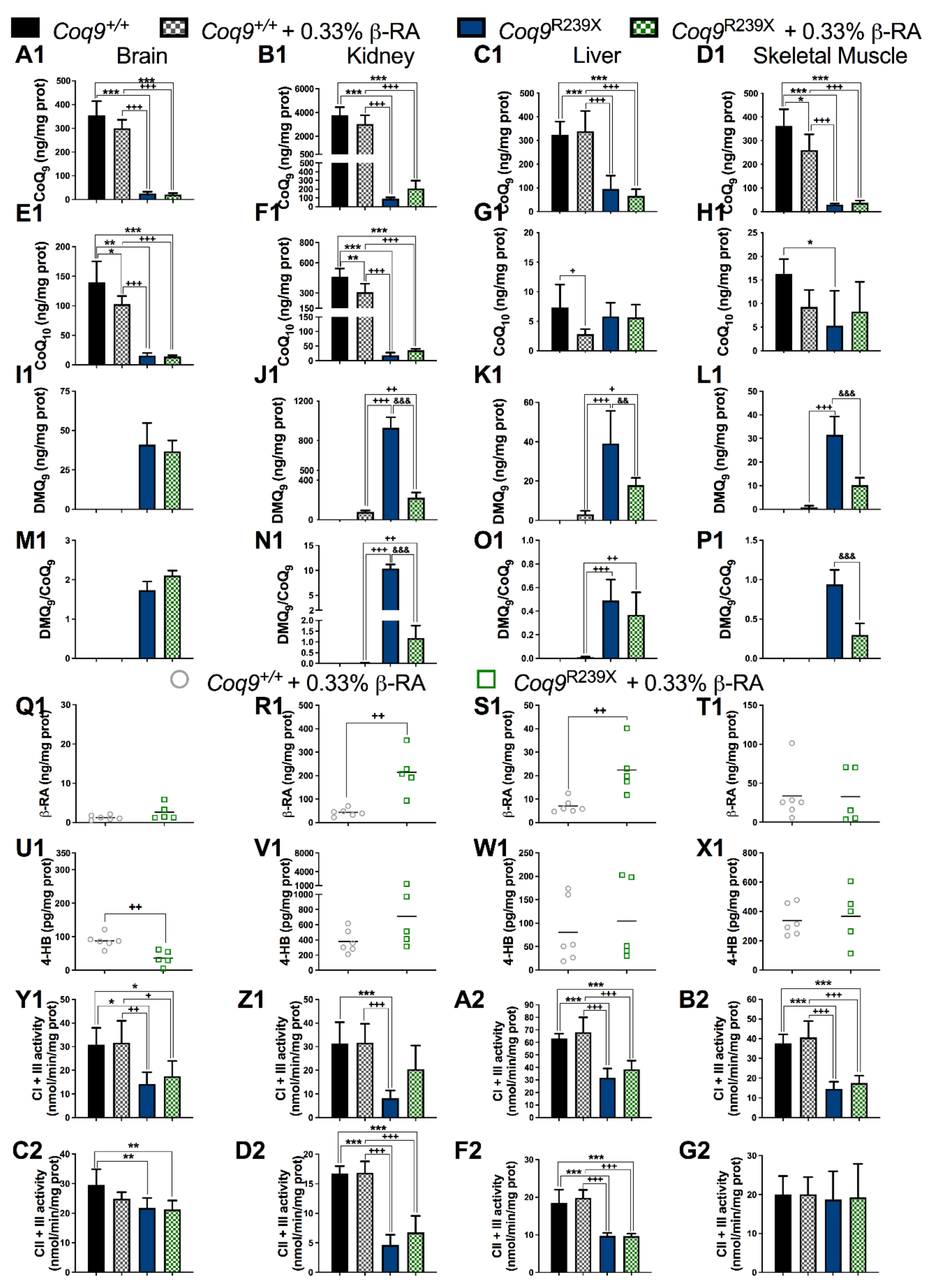 Biomedicines 09 01457 g003
