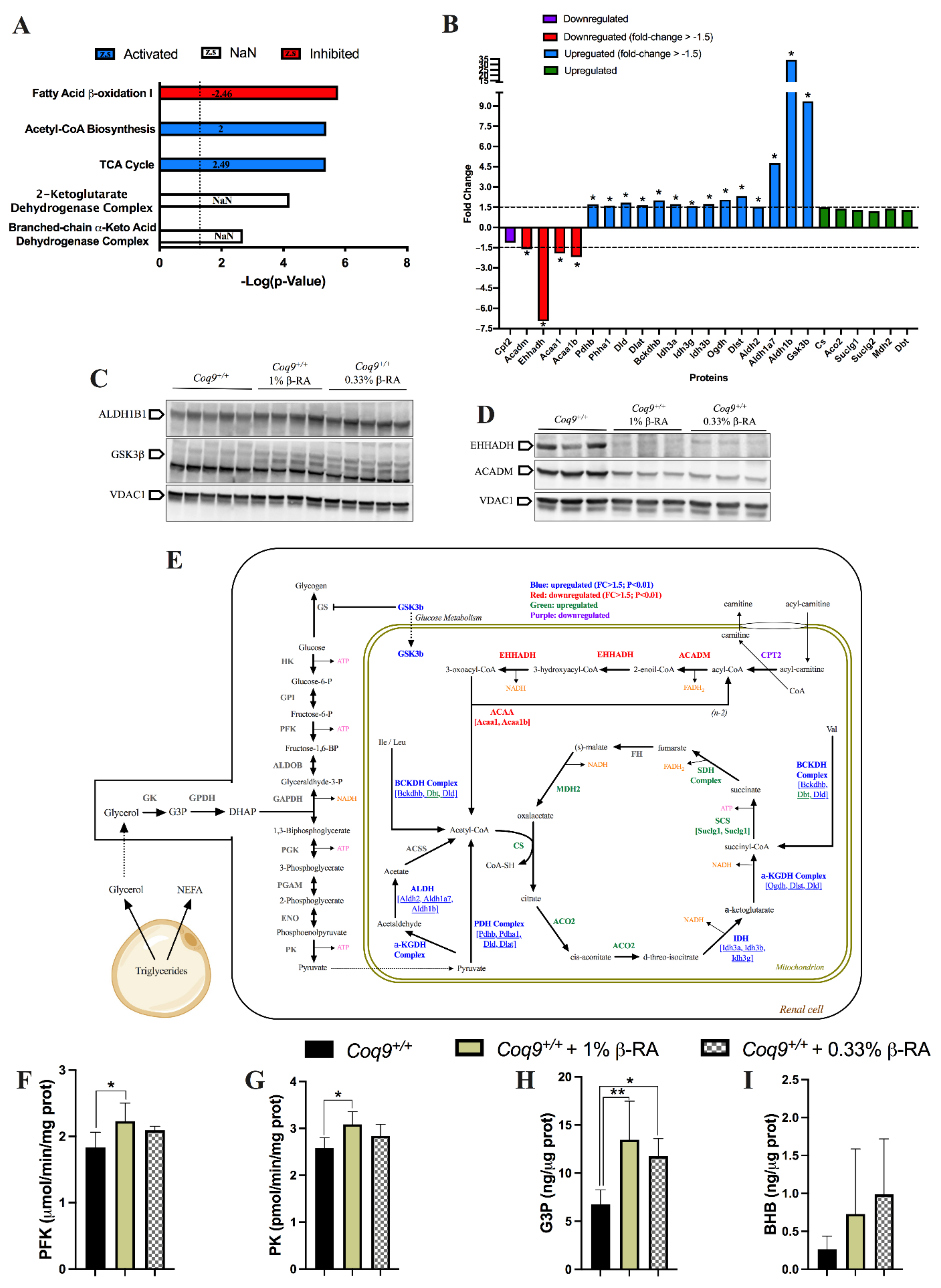 Biomedicines 09 01457 g005