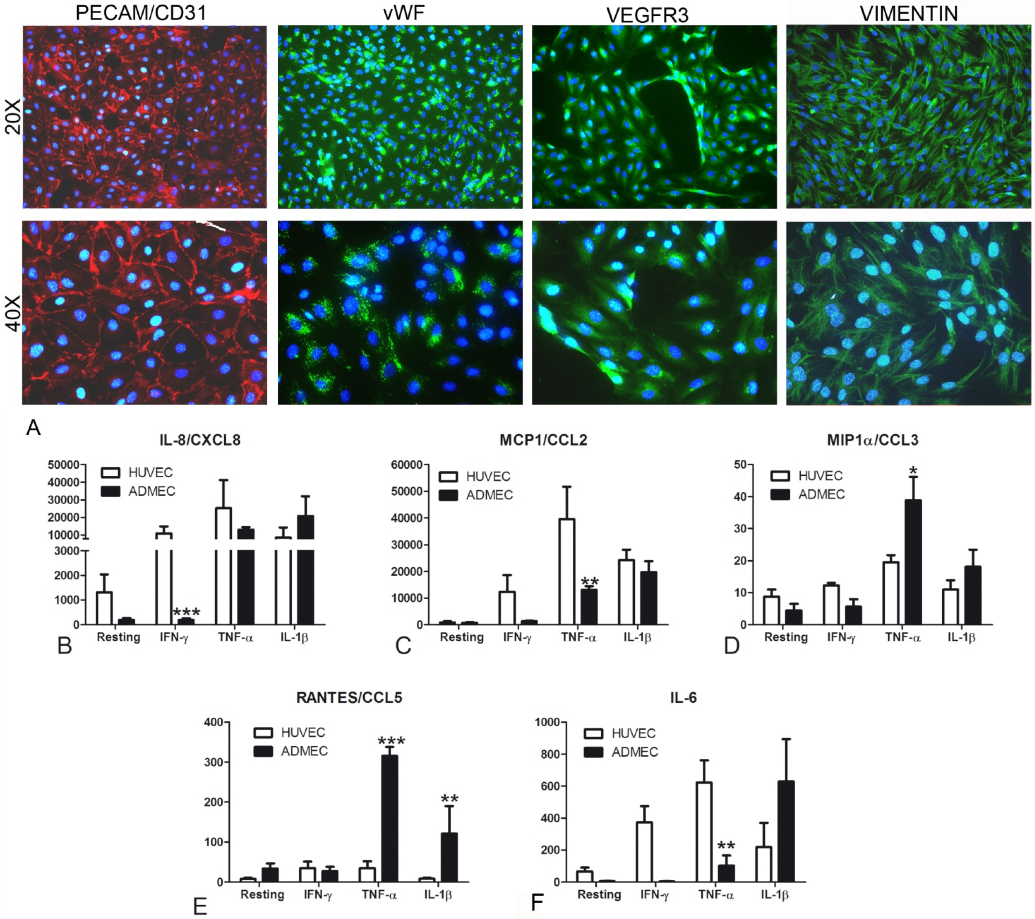 Biomedicines 09 01458 g001 550