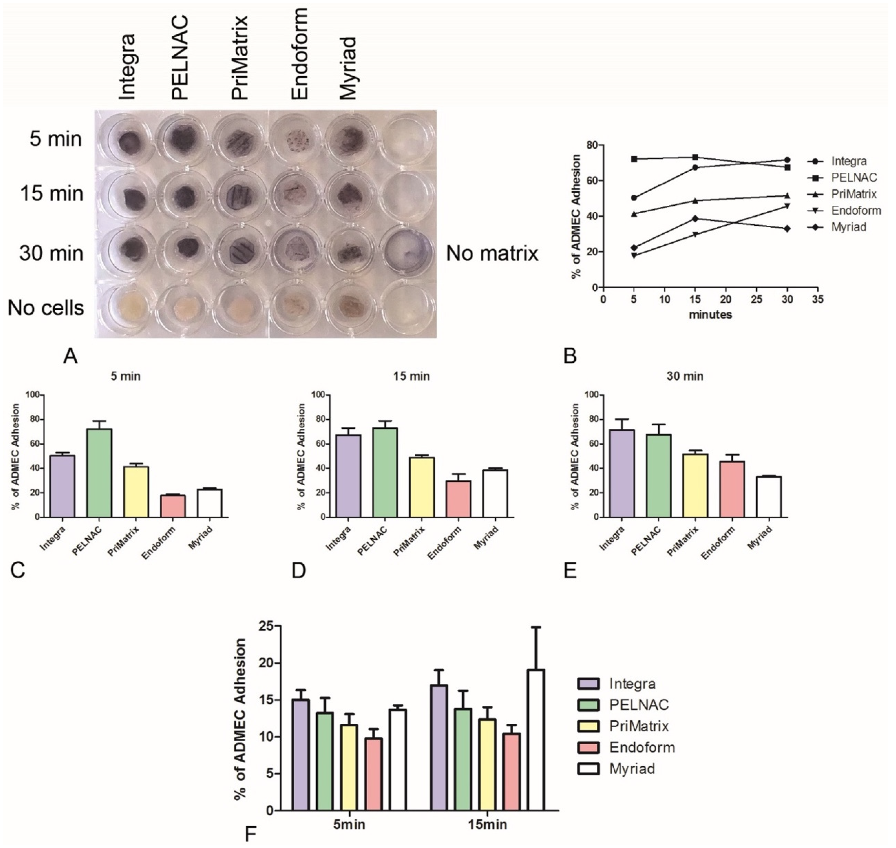 Biomedicines 09 01458 g002 550
