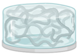 Biomedicines 09 01458 i001