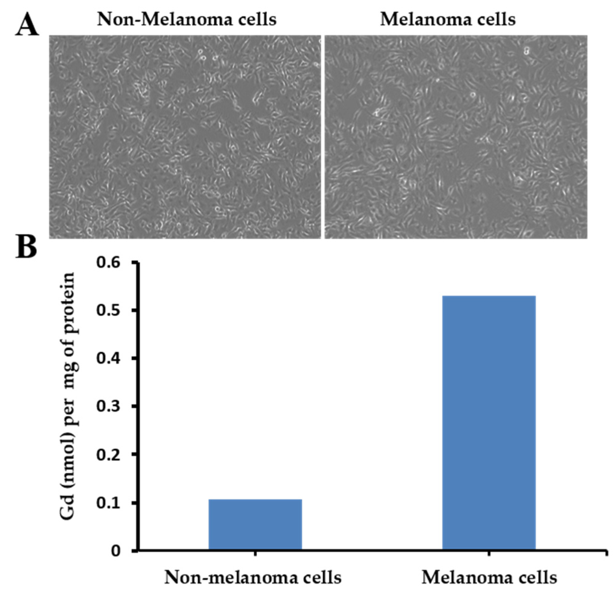 Biomedicines 09 01459 g005
