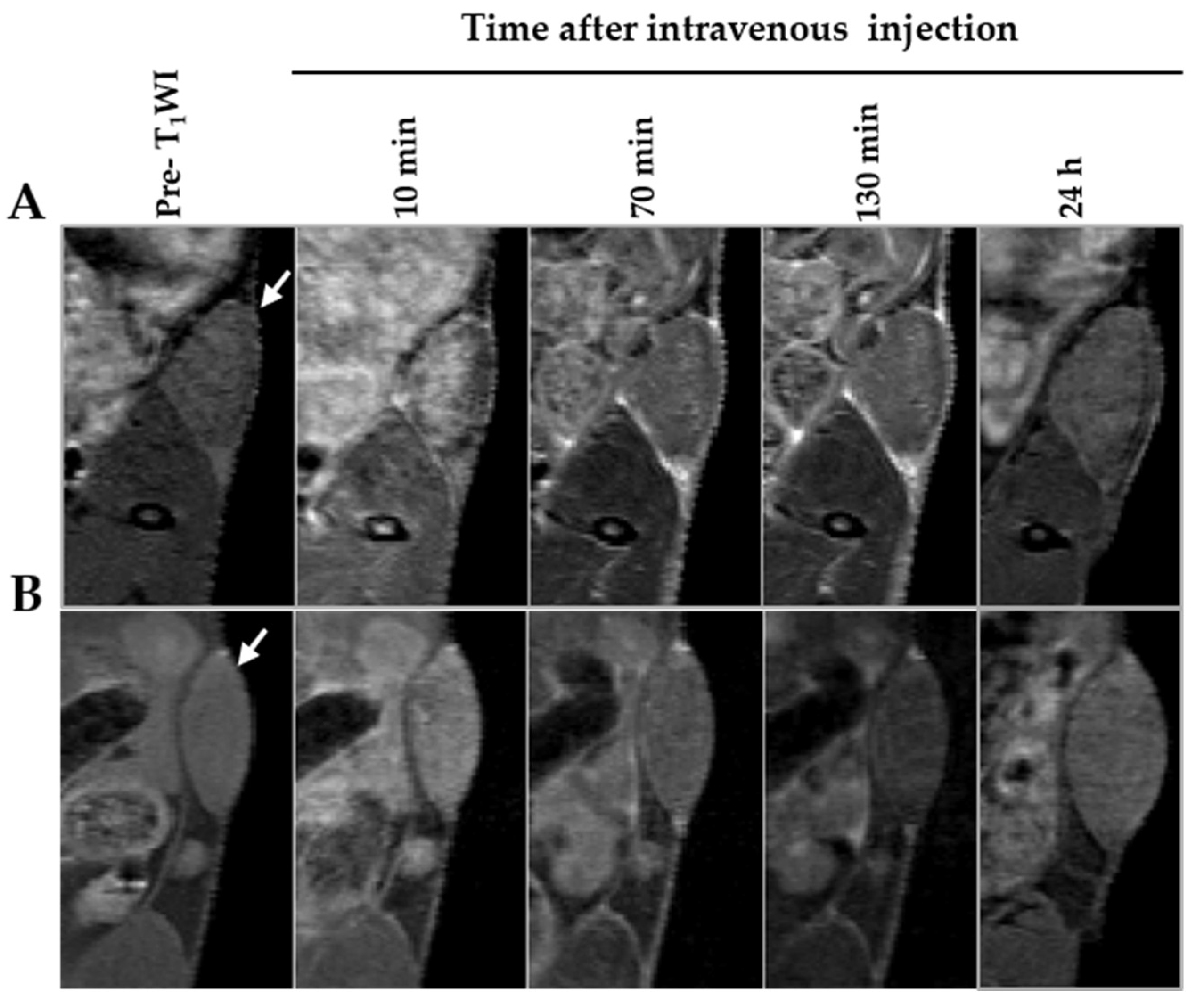 Biomedicines 09 01459 g007