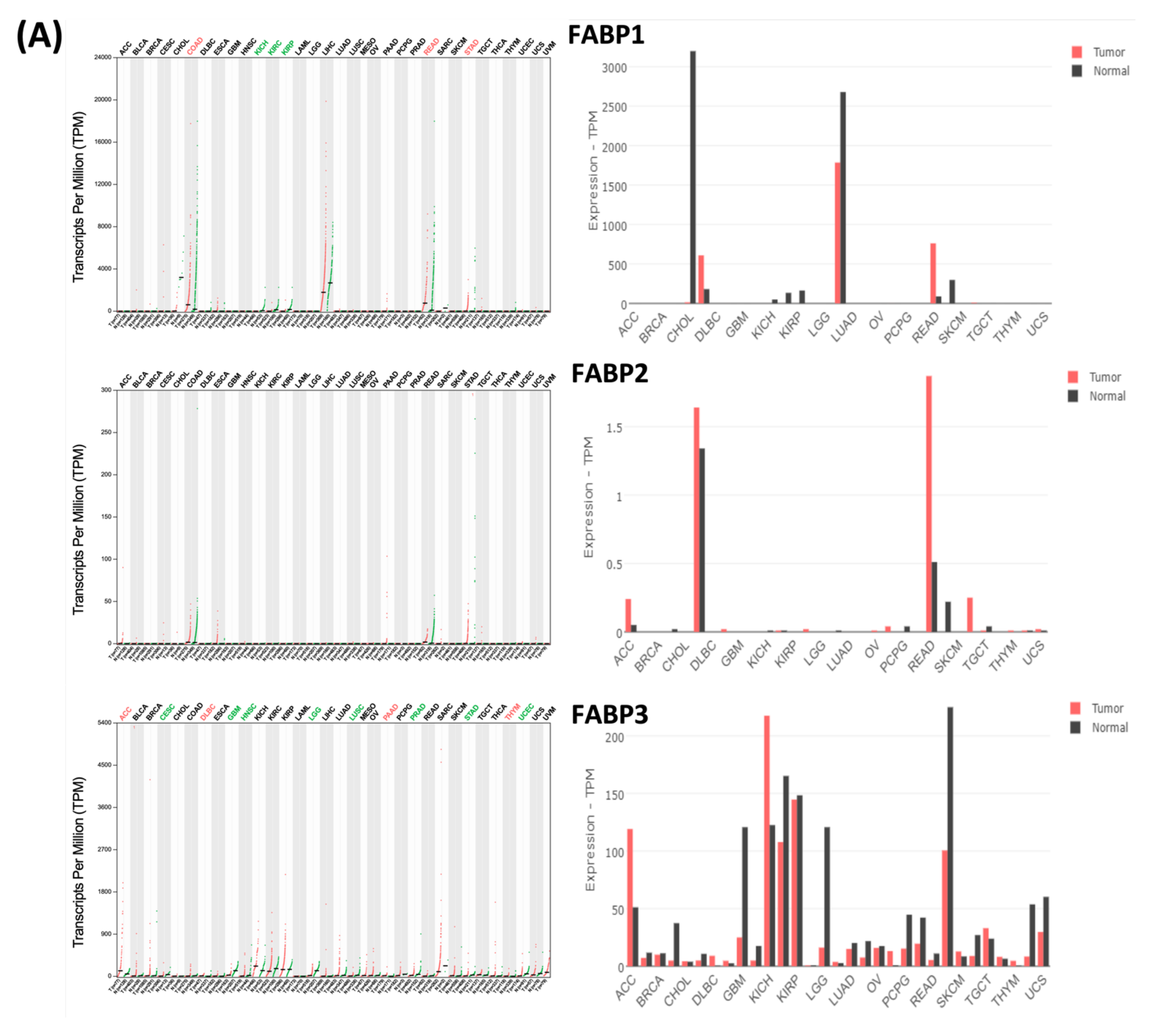 Biomedicines 09 01460 g003a Biomedicines 09 01460 g003a
