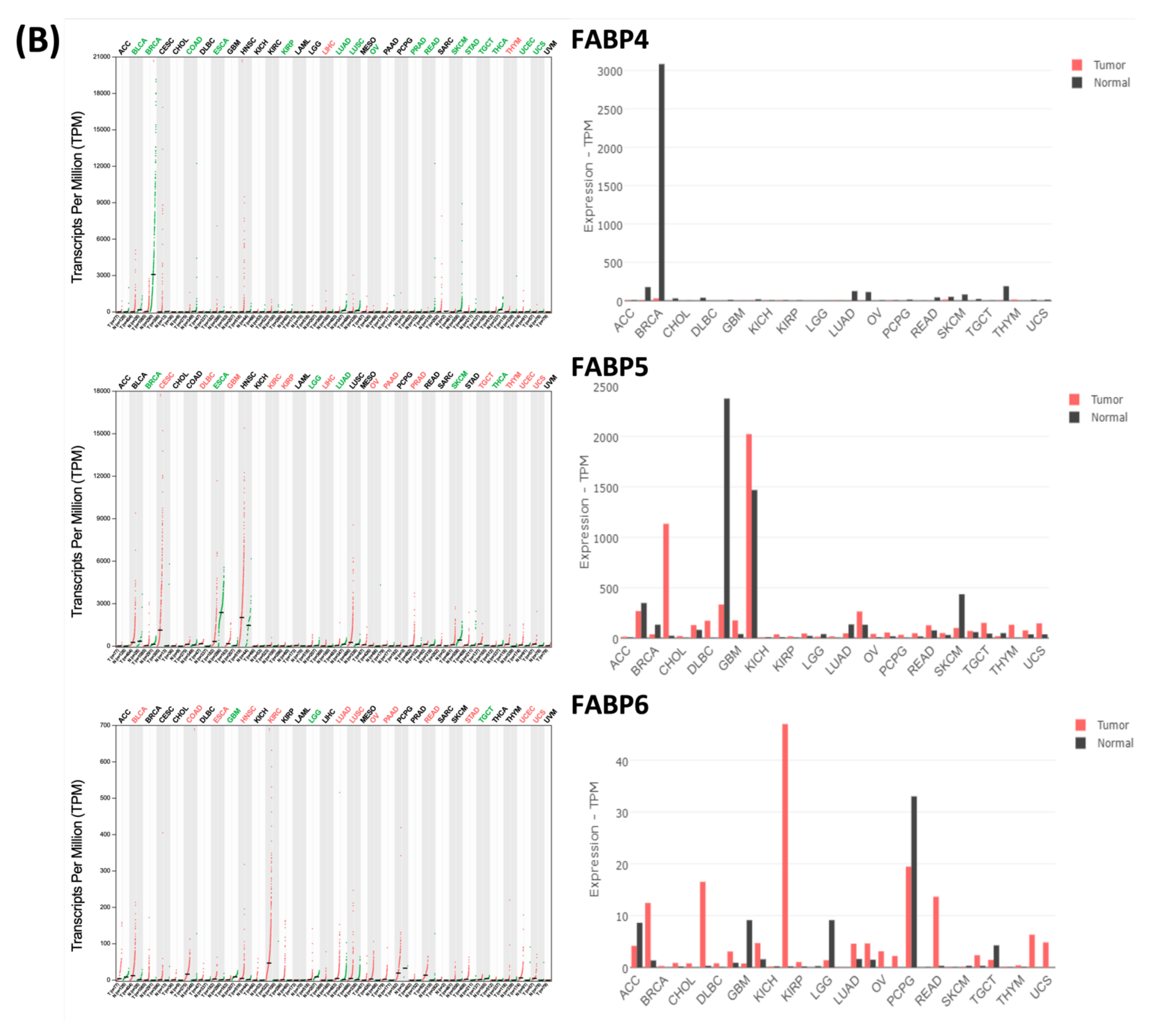 Biomedicines 09 01460 g003b Biomedicines 09 01460 g003b
