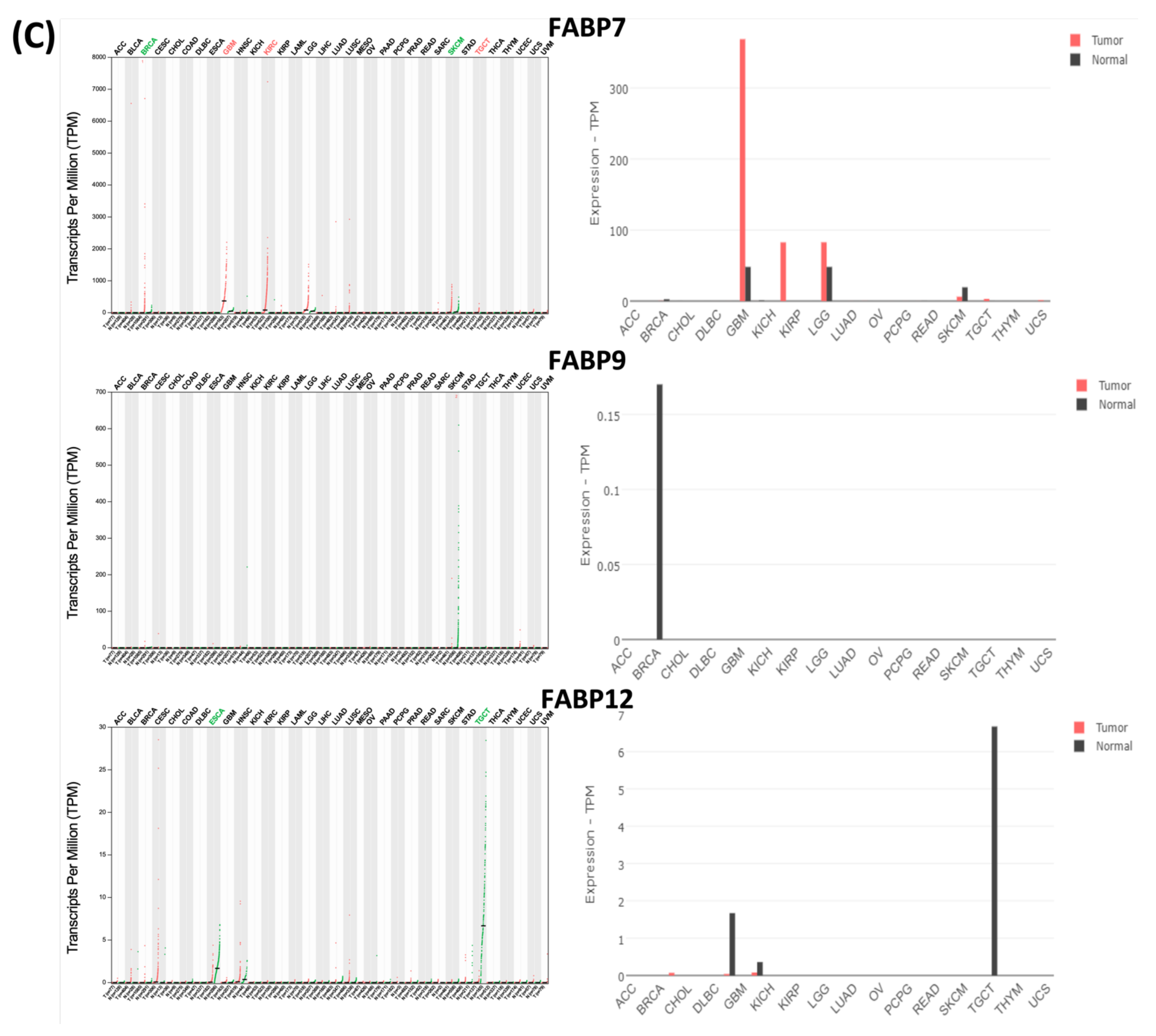 Biomedicines 09 01460 g003c Biomedicines 09 01460 g003c