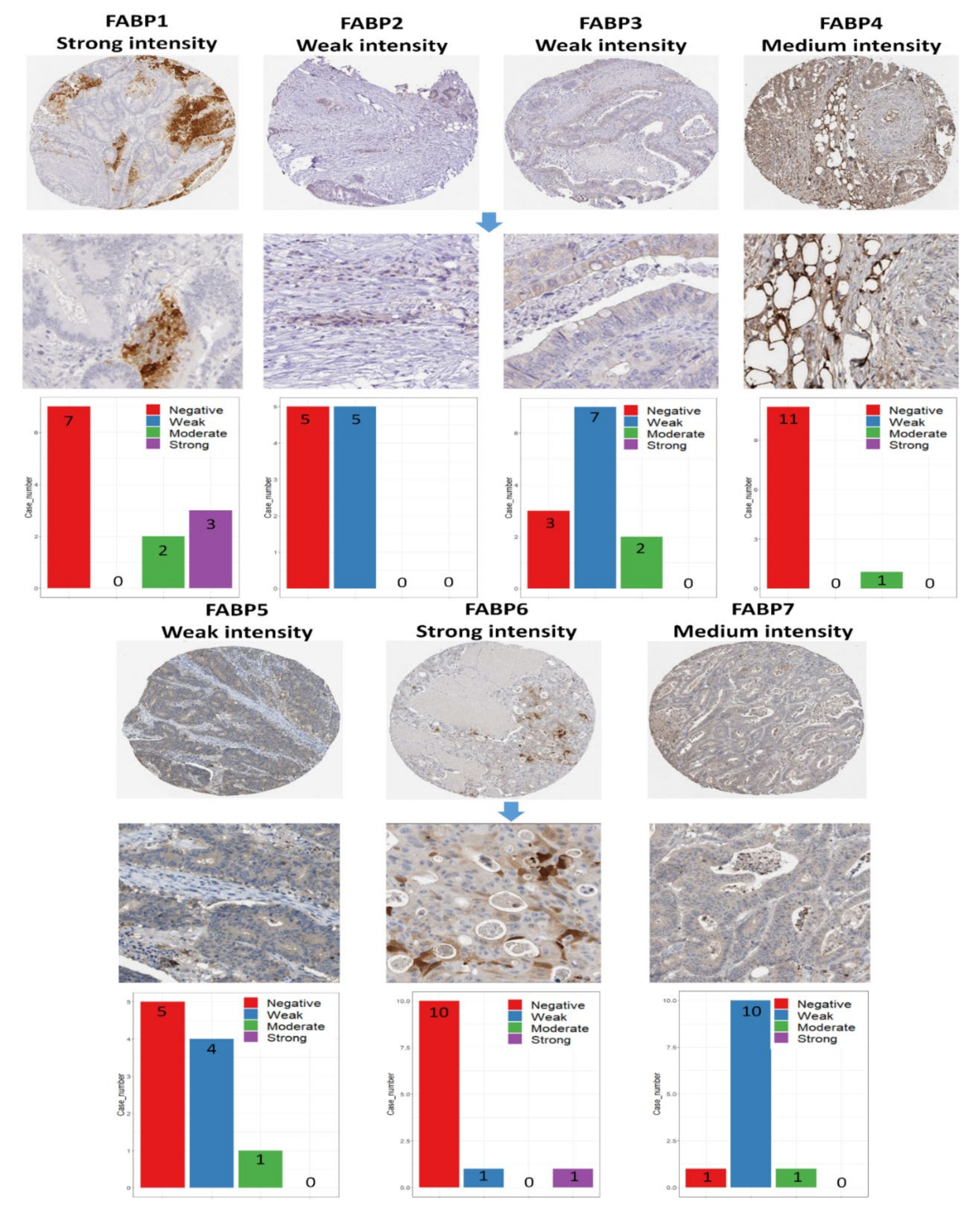 Biomedicines 09 01460 g006 Biomedicines 09 01460 g006