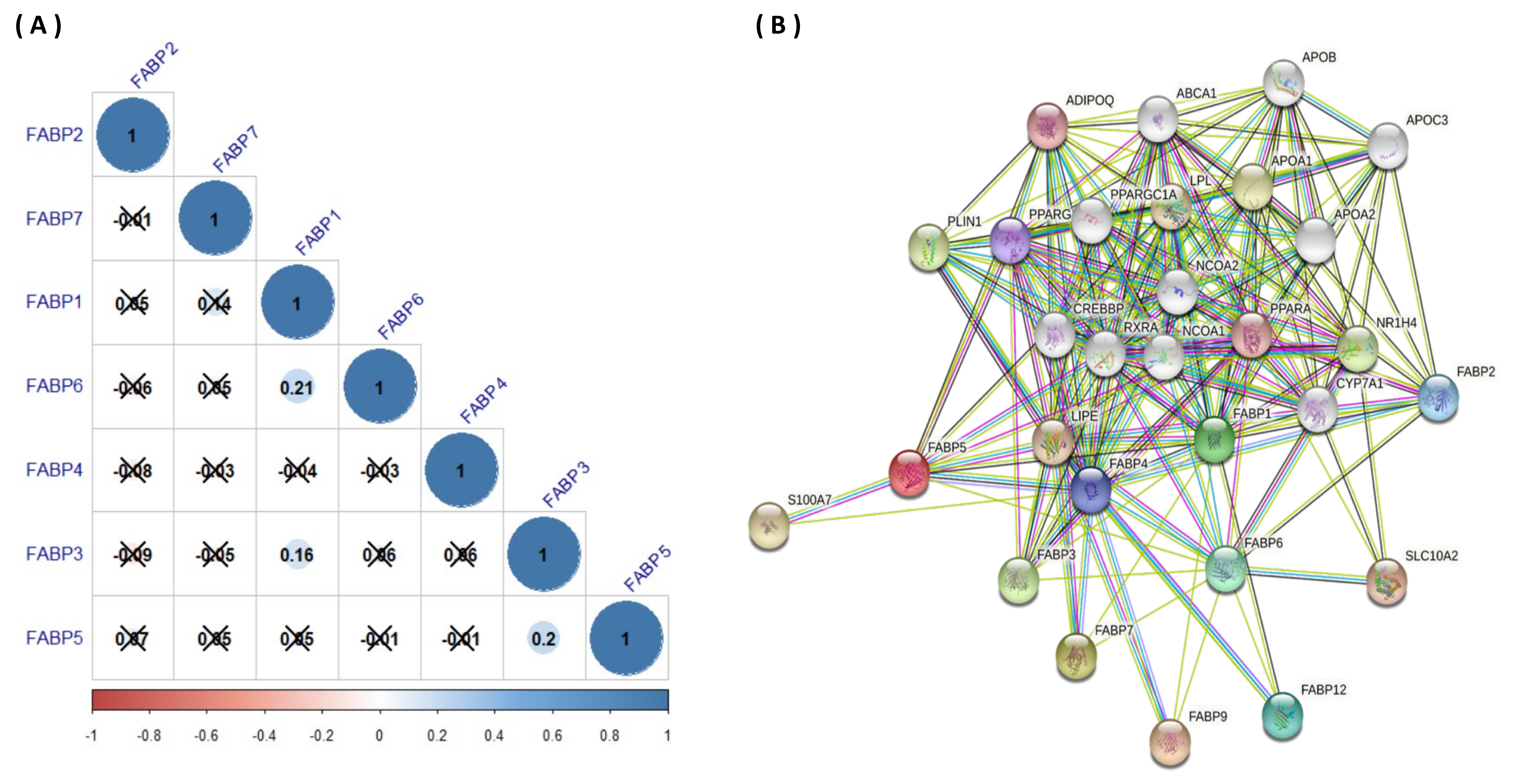 Biomedicines 09 01460 g007 Biomedicines 09 01460 g007