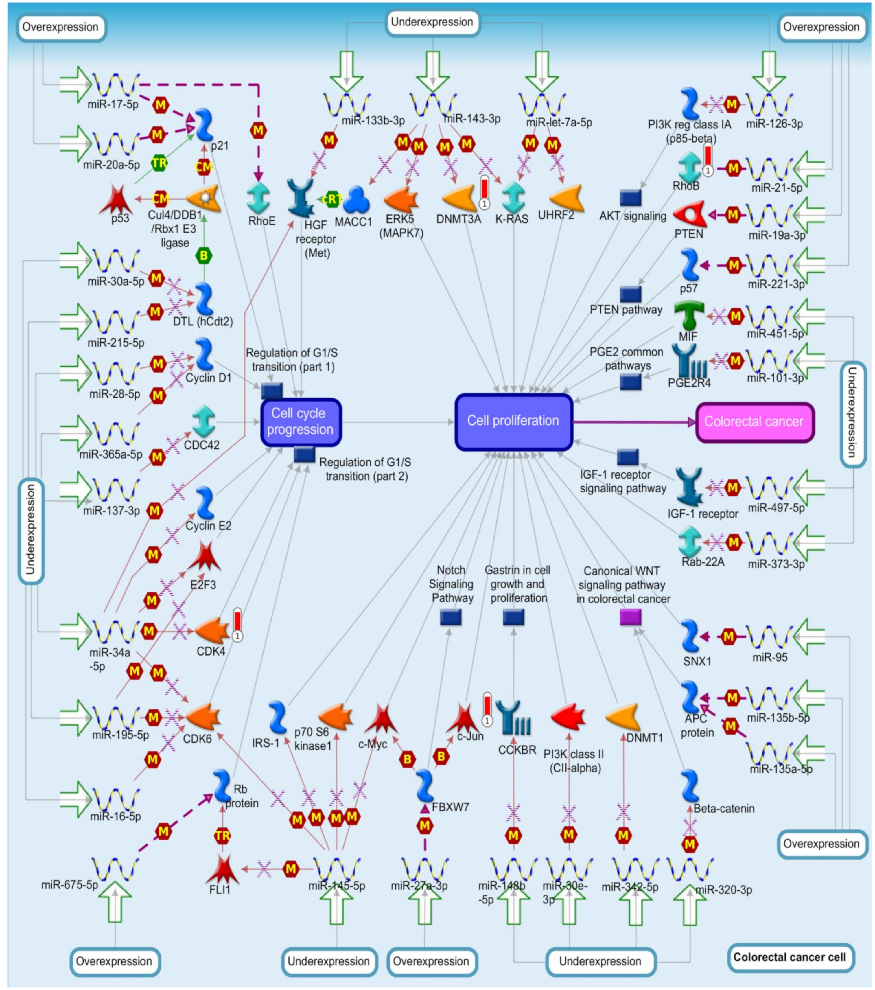Biomedicines 09 01460 g008 Biomedicines 09 01460 g008