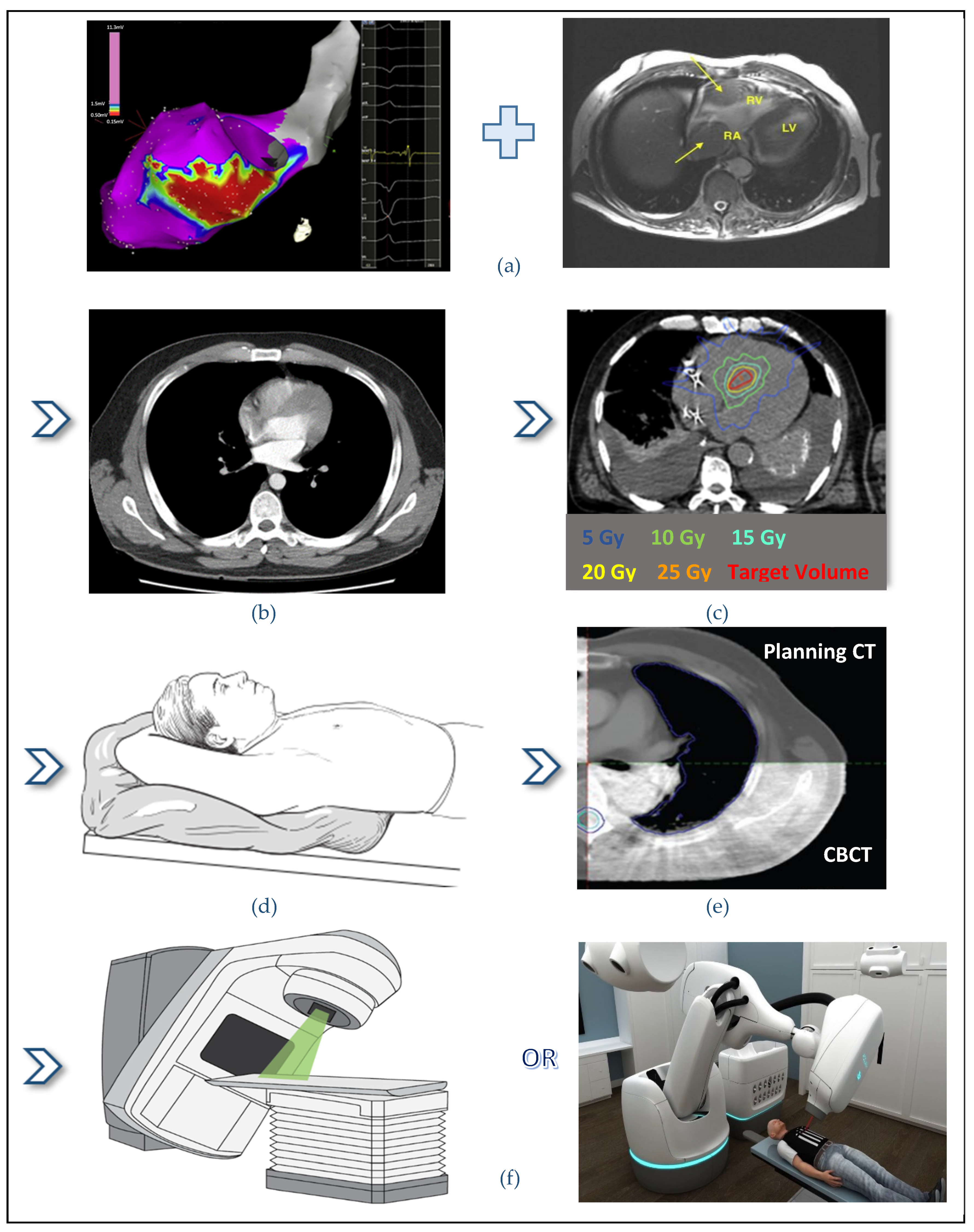 Biomedicines 09 01461 g004