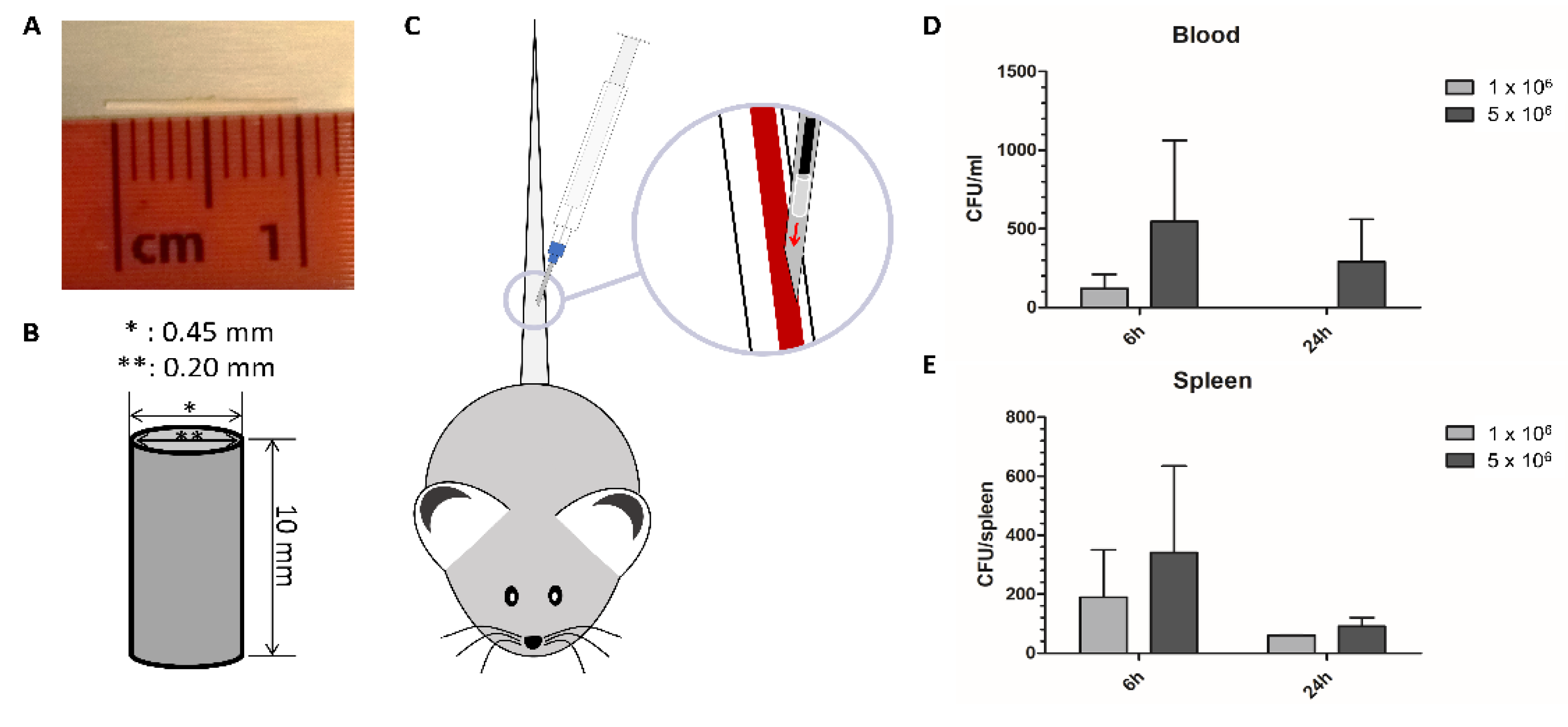Biomedicines 09 01464 g001