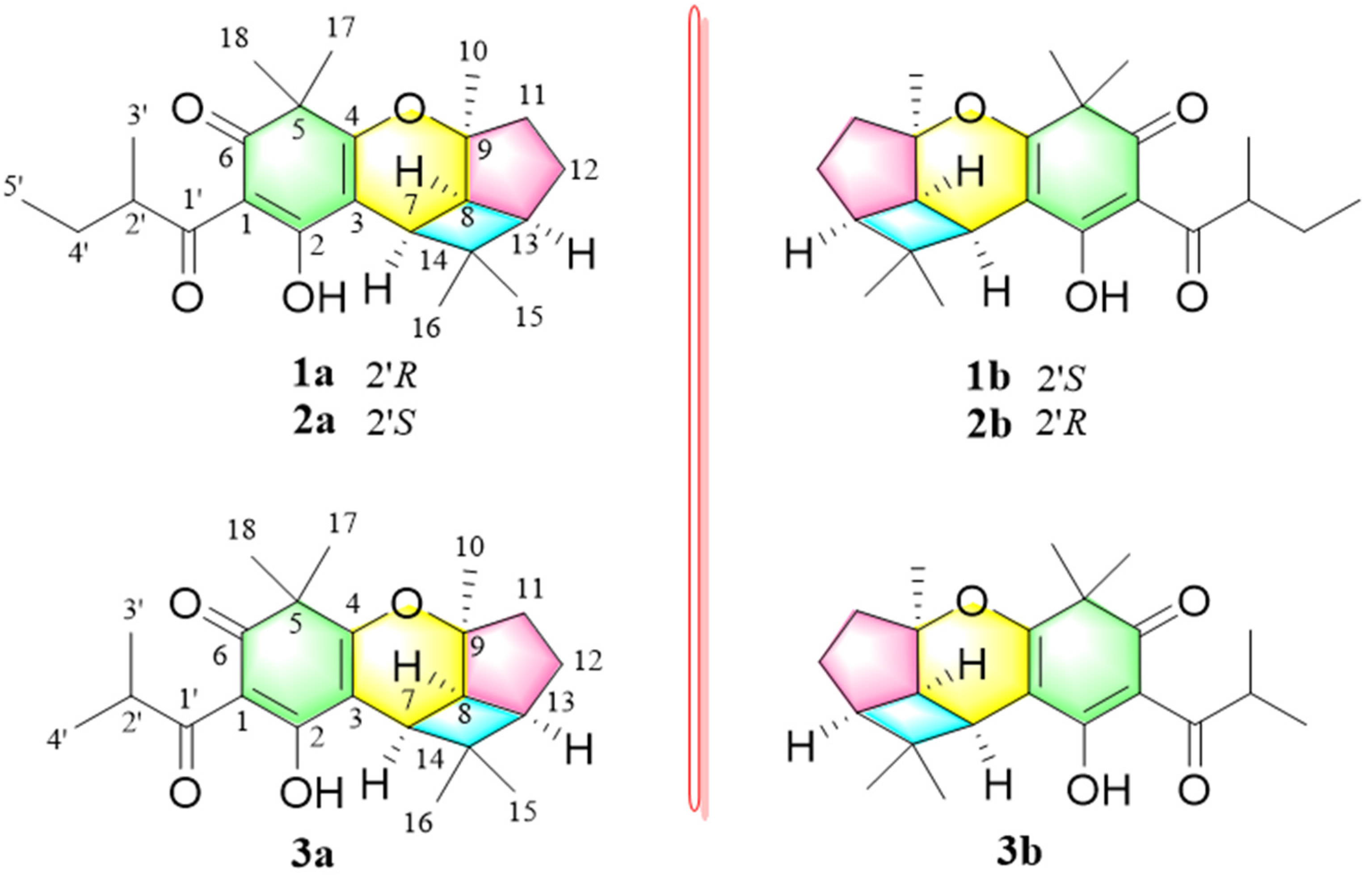 Biomedicines 09 01473 g001