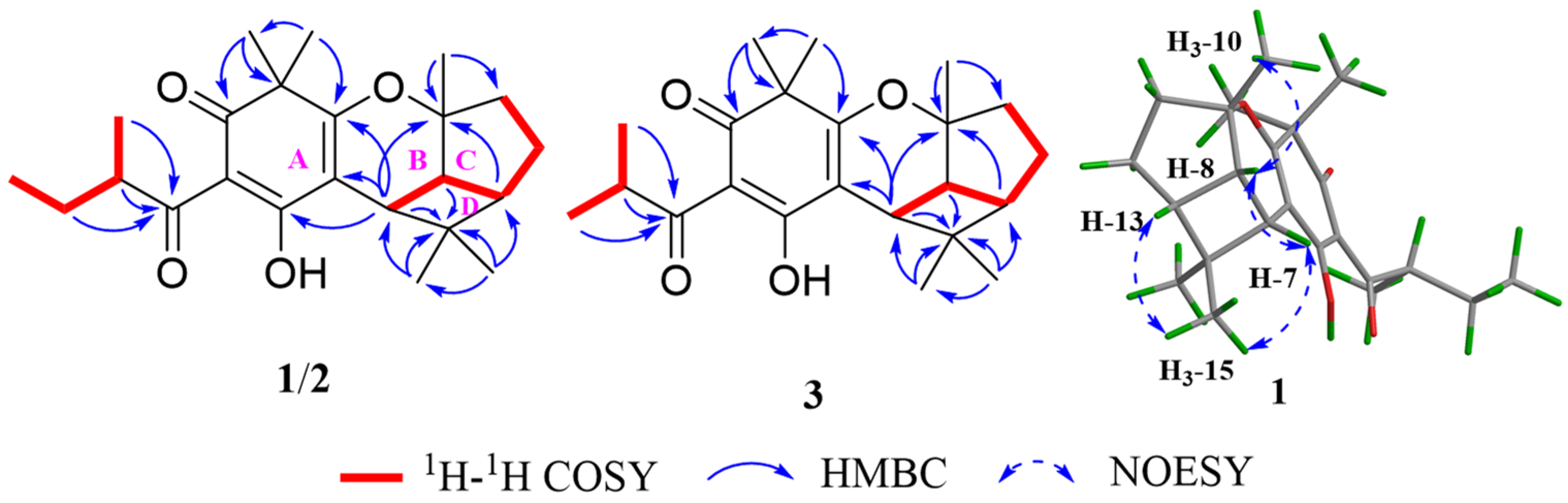 Biomedicines 09 01473 g002