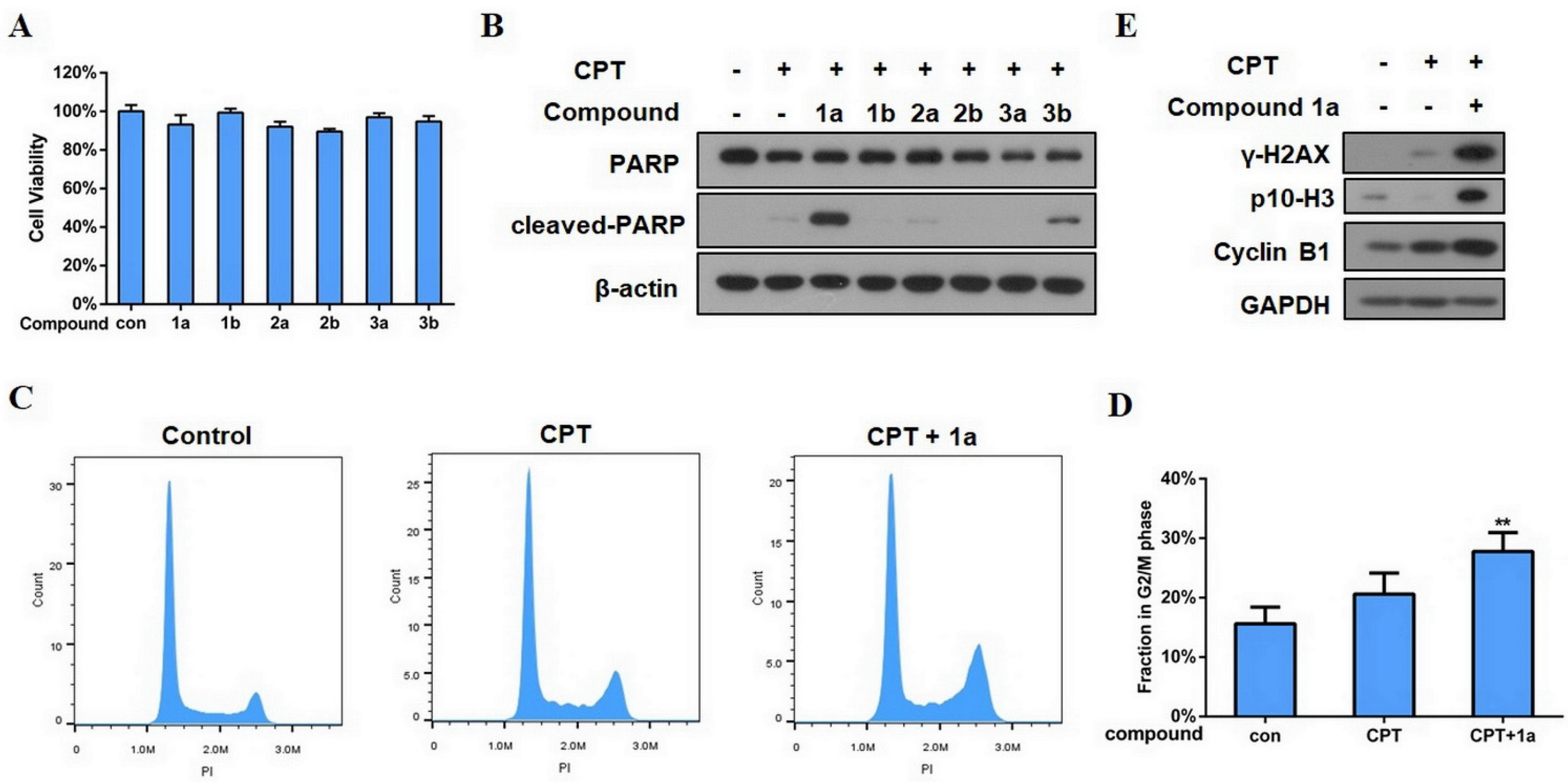 Biomedicines 09 01473 g006