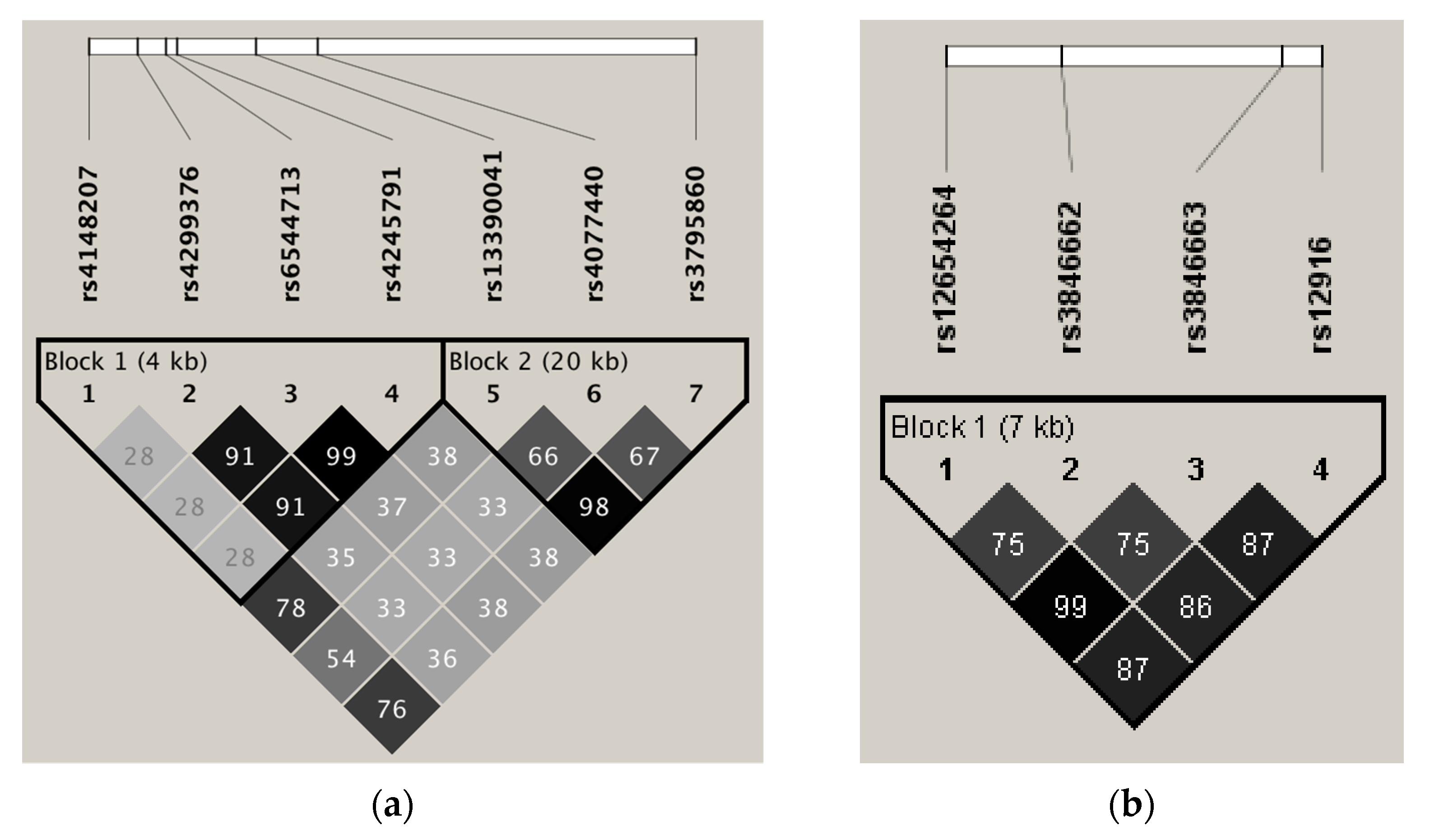 Biomedicines 09 01475 g001 550