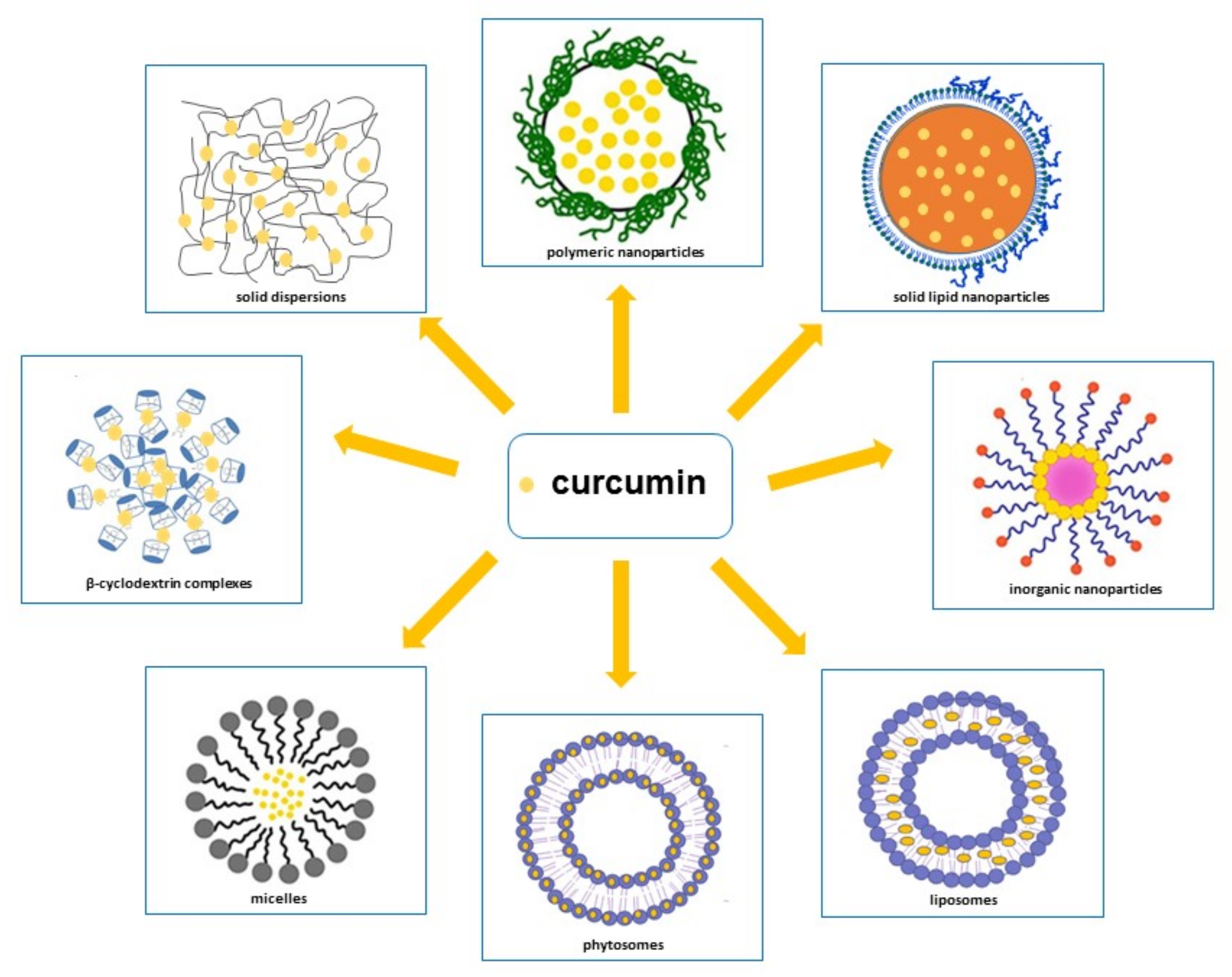 Biomedicines 09 01476 g003