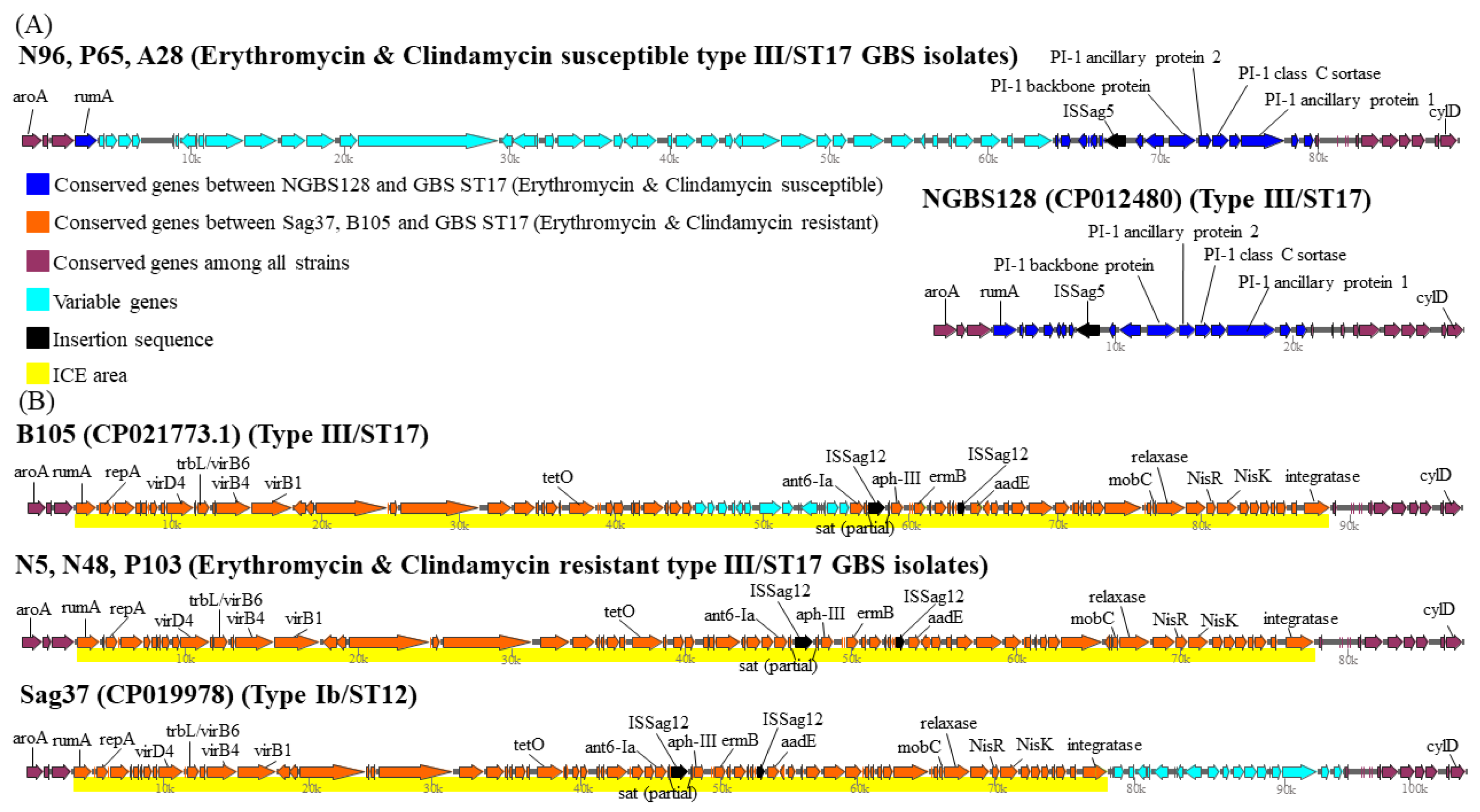 Biomedicines 09 01477 g003