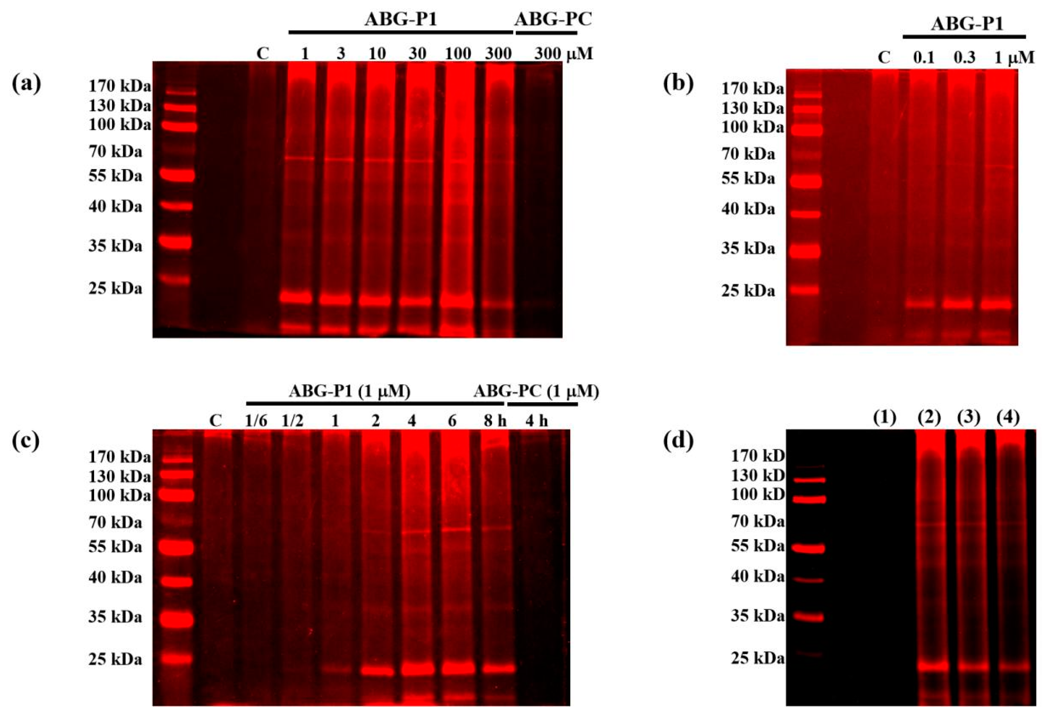 Biomedicines 09 01483 g003 550