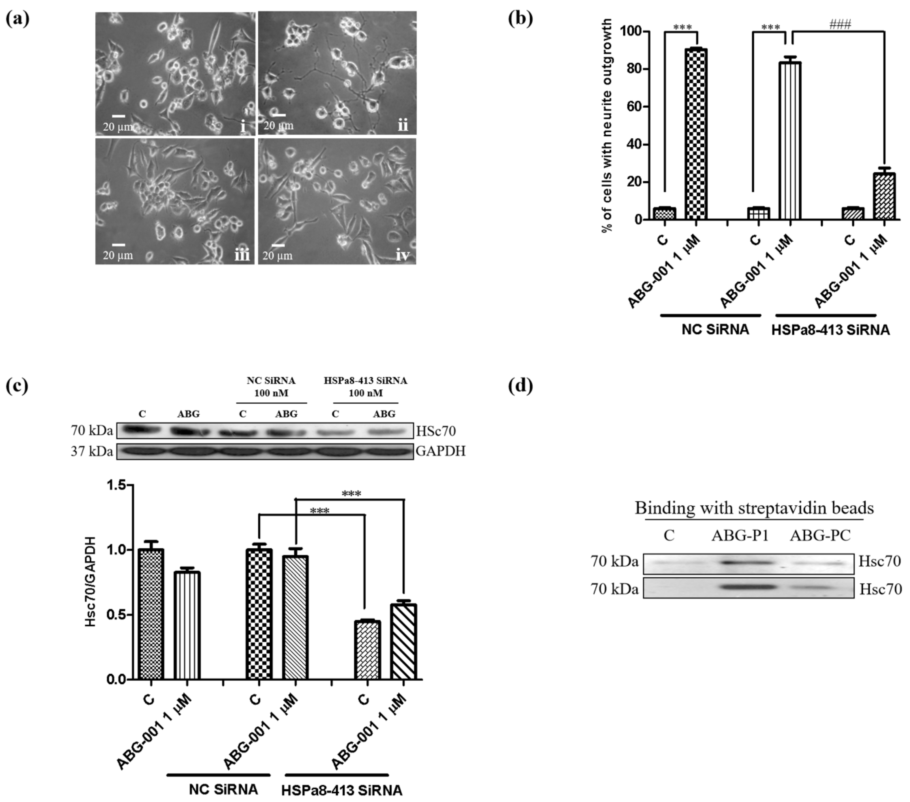 Biomedicines 09 01483 g005 550