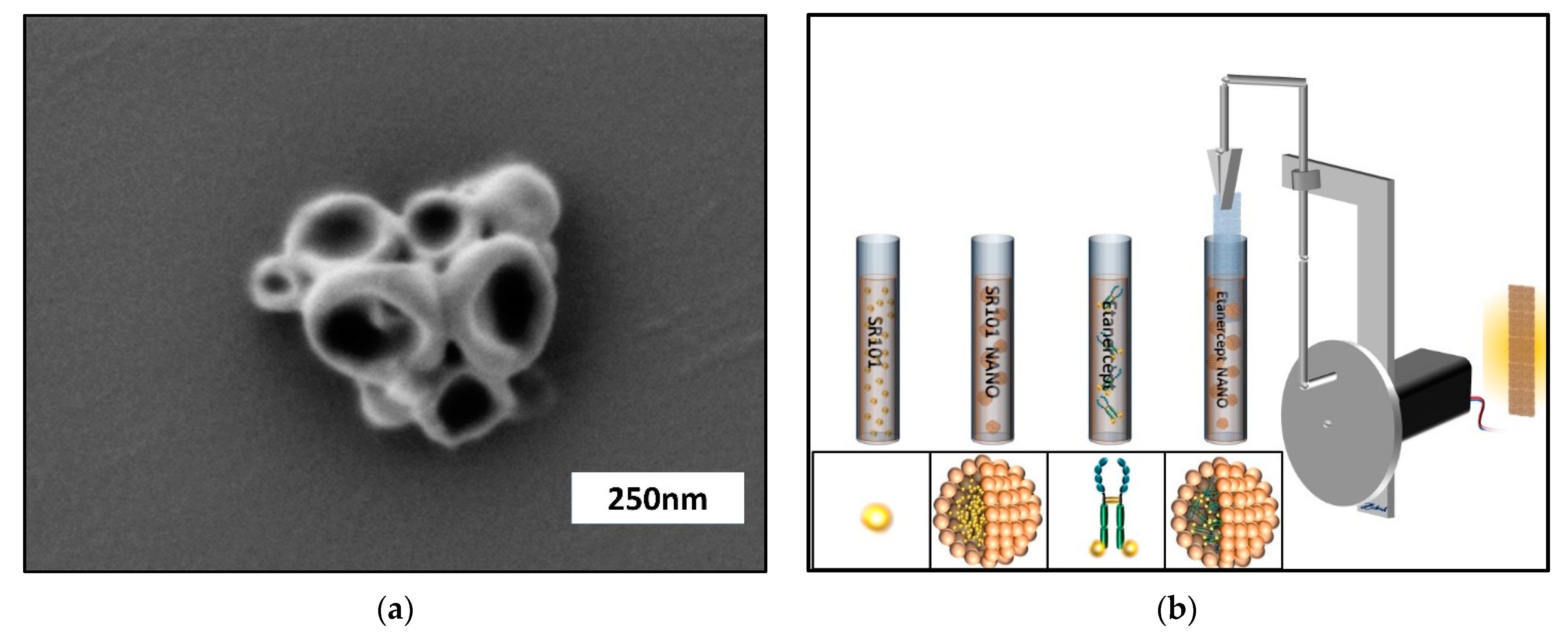 Biomedicines 09 01485 g001