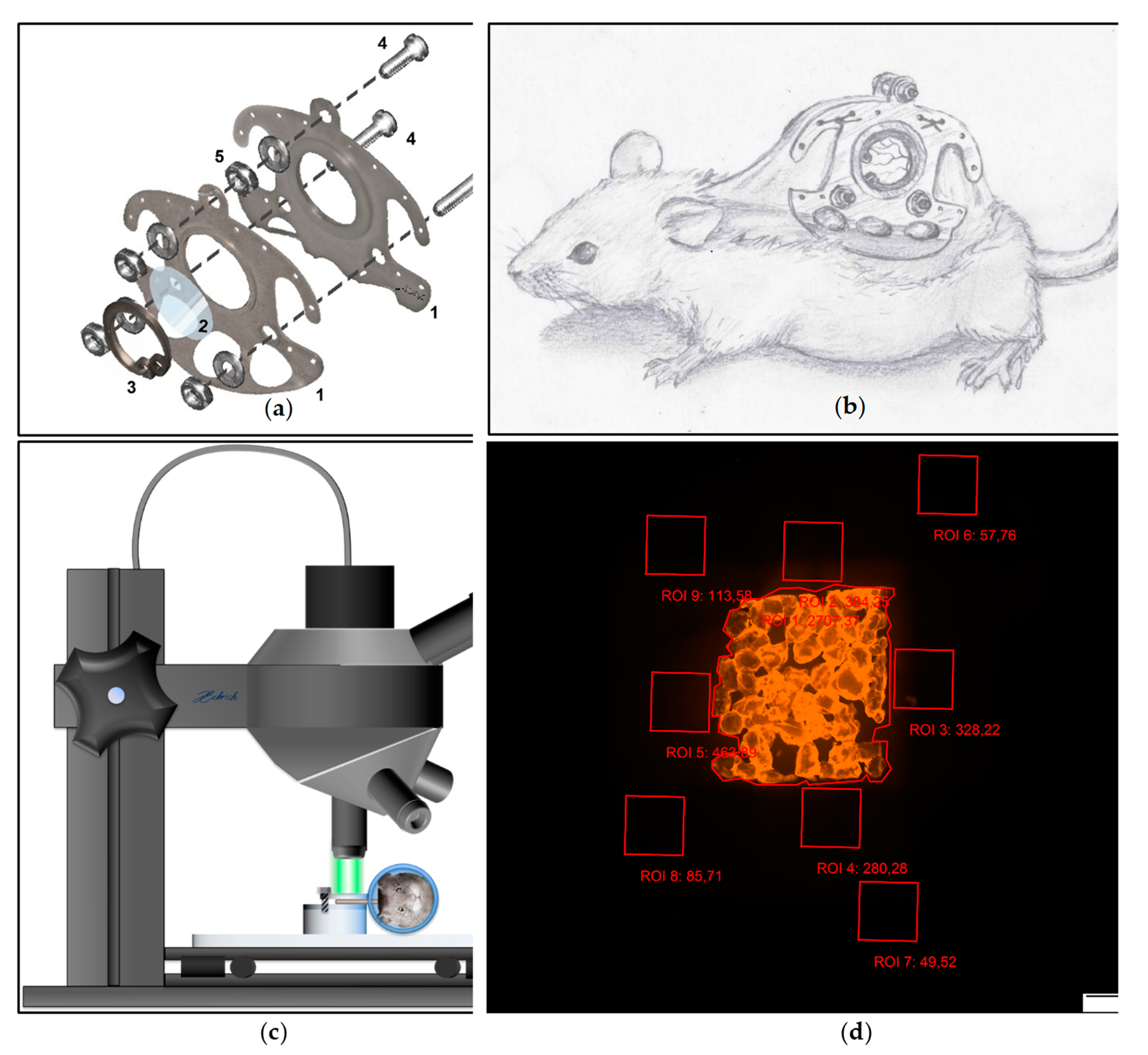 Biomedicines 09 01485 g002