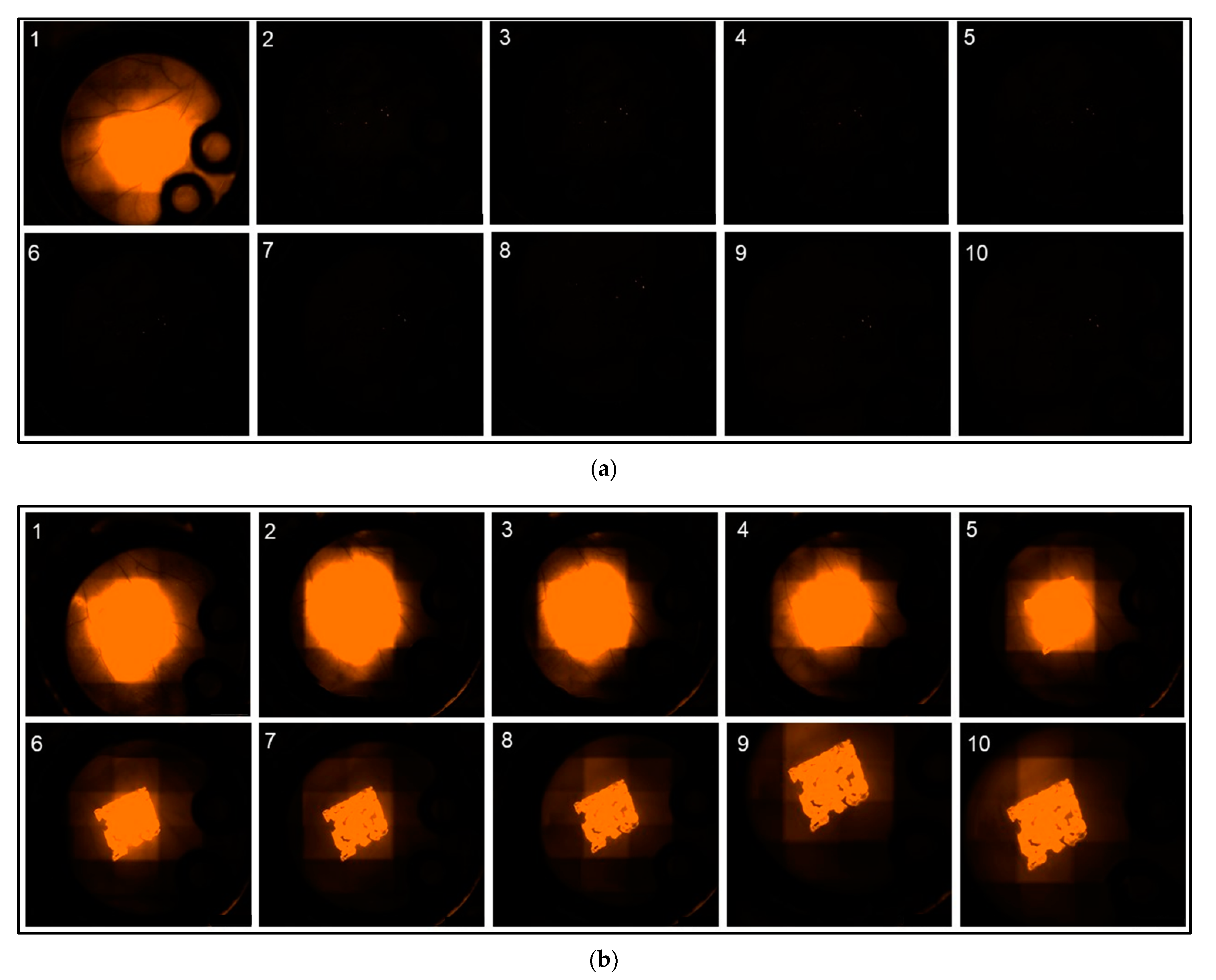 Biomedicines 09 01485 g003
