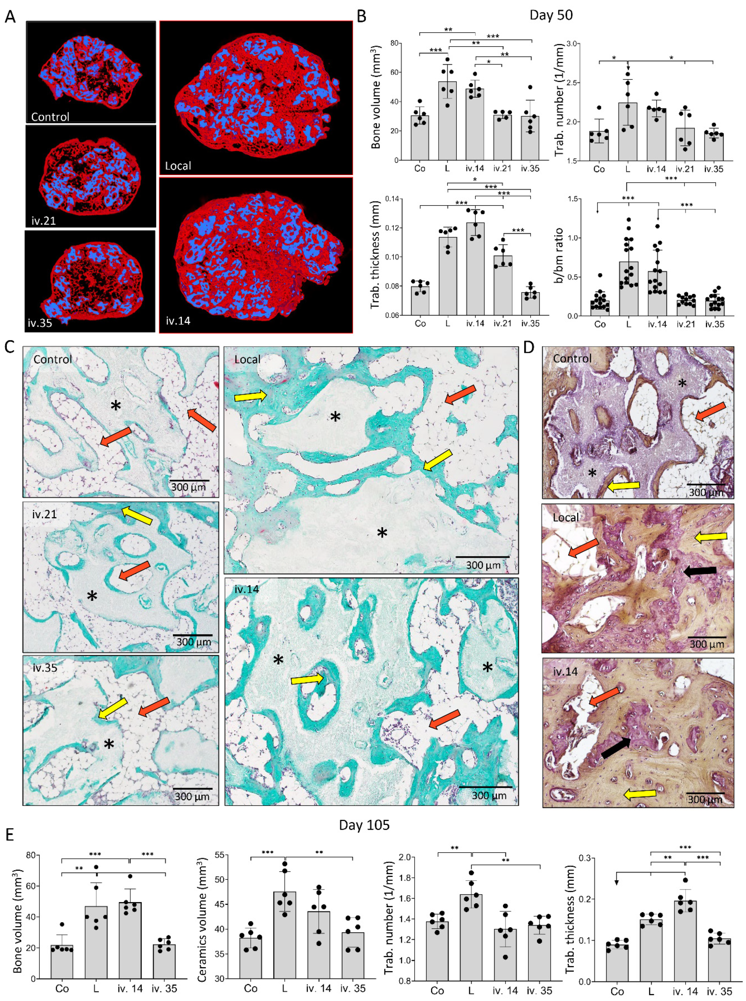 Biomedicines 09 01487 g004