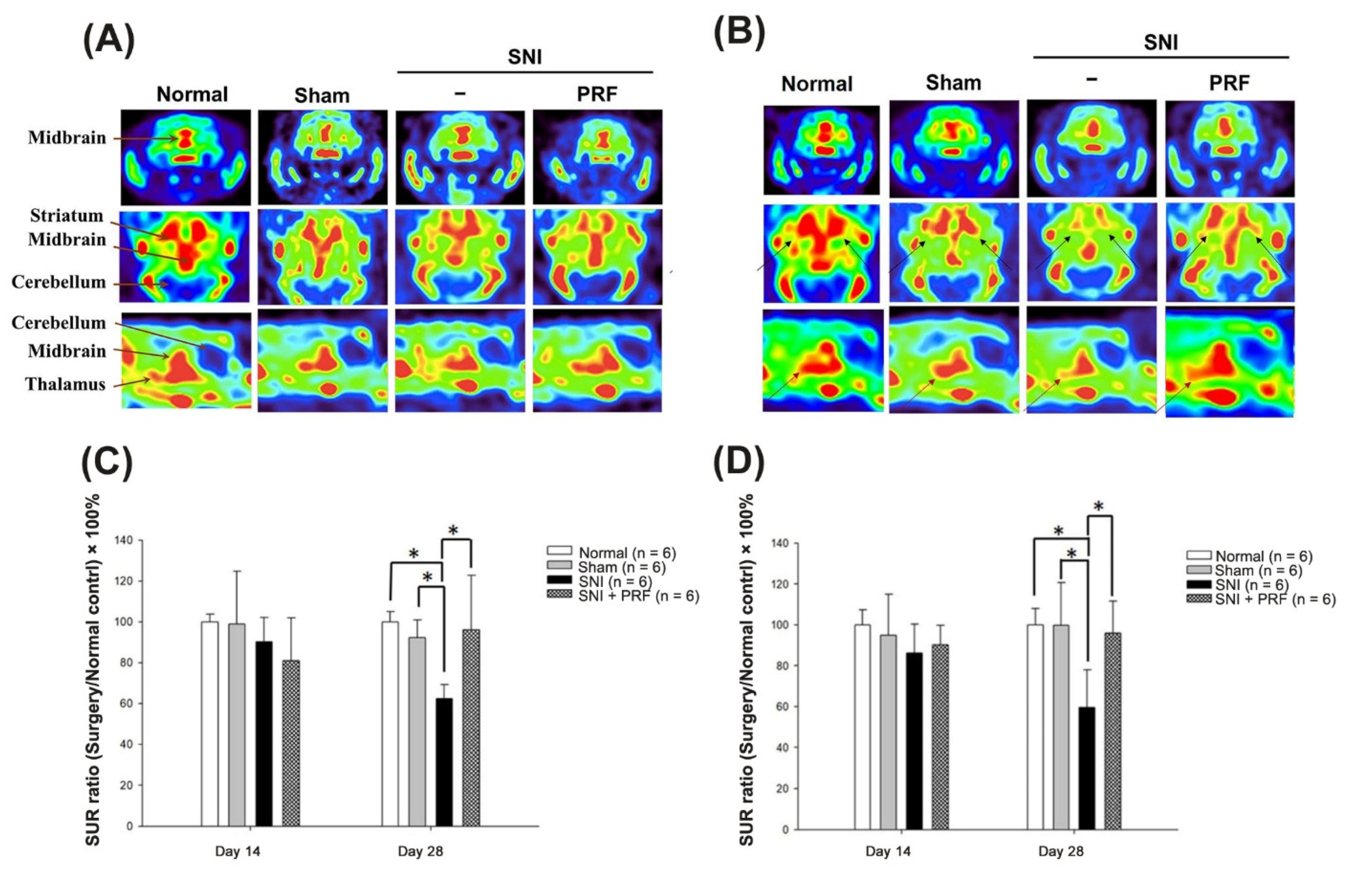Biomedicines 09 01489 g003 550